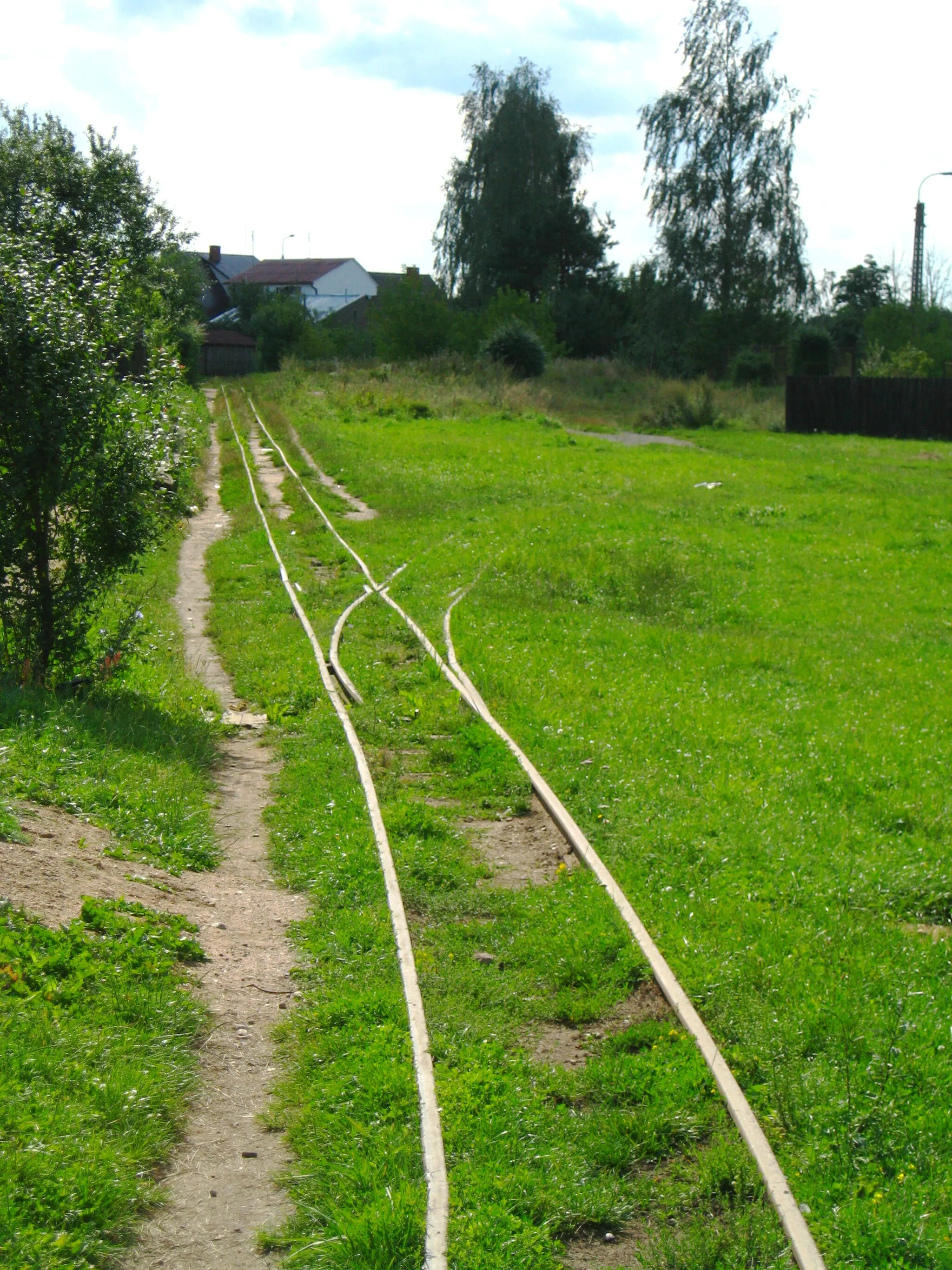 Photo showing: Tracks of Knyszyn Forest Narrow Gauge Railway at Torowa street, in front of church of Merciful Jesus