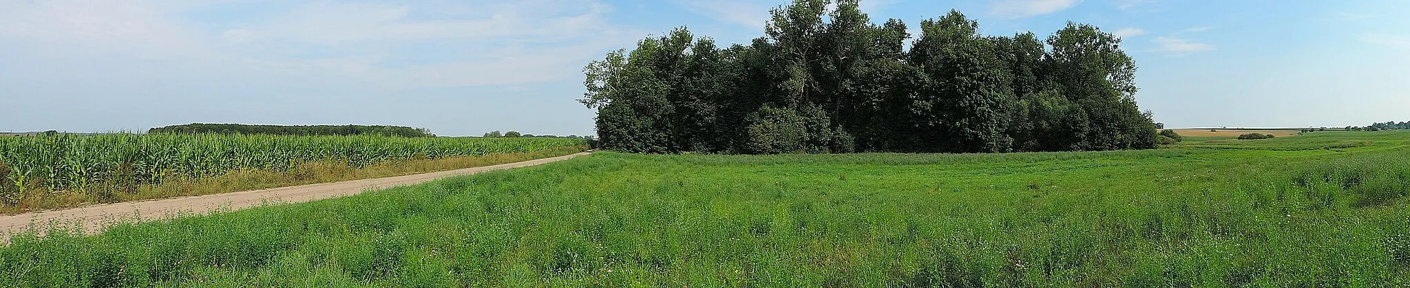Photo showing: Stożne