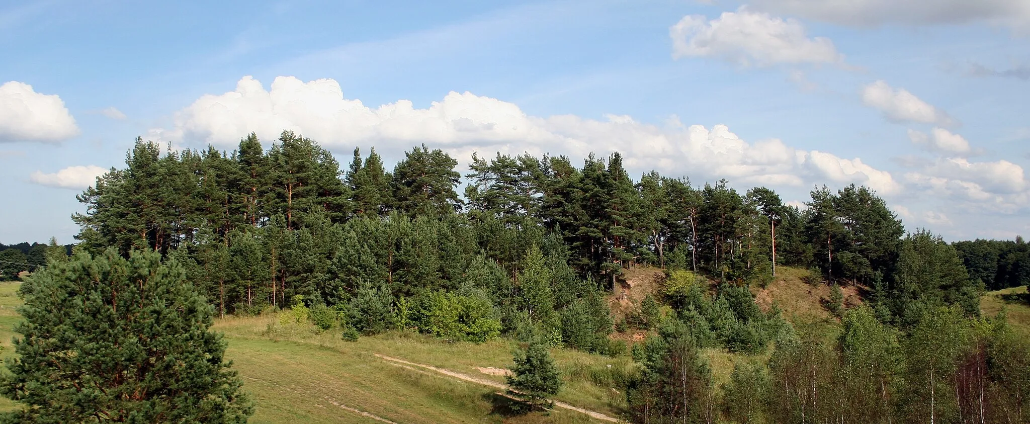 Photo showing: Wzgórze, na którym znajdować miał się cmentarz z czasów I wojny światowej we wsi Pawłówka, woj. podlaskie