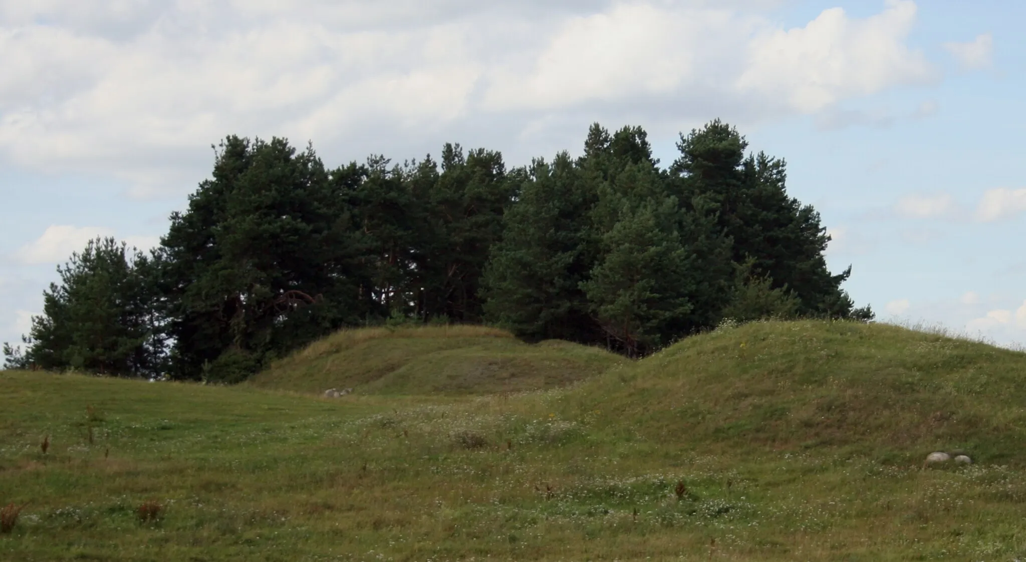 Photo showing: Wzgórze, na którym znajdować miał się cmentarz z czasów I wojny światowej we wsi Pawłówka, woj. podlaskie