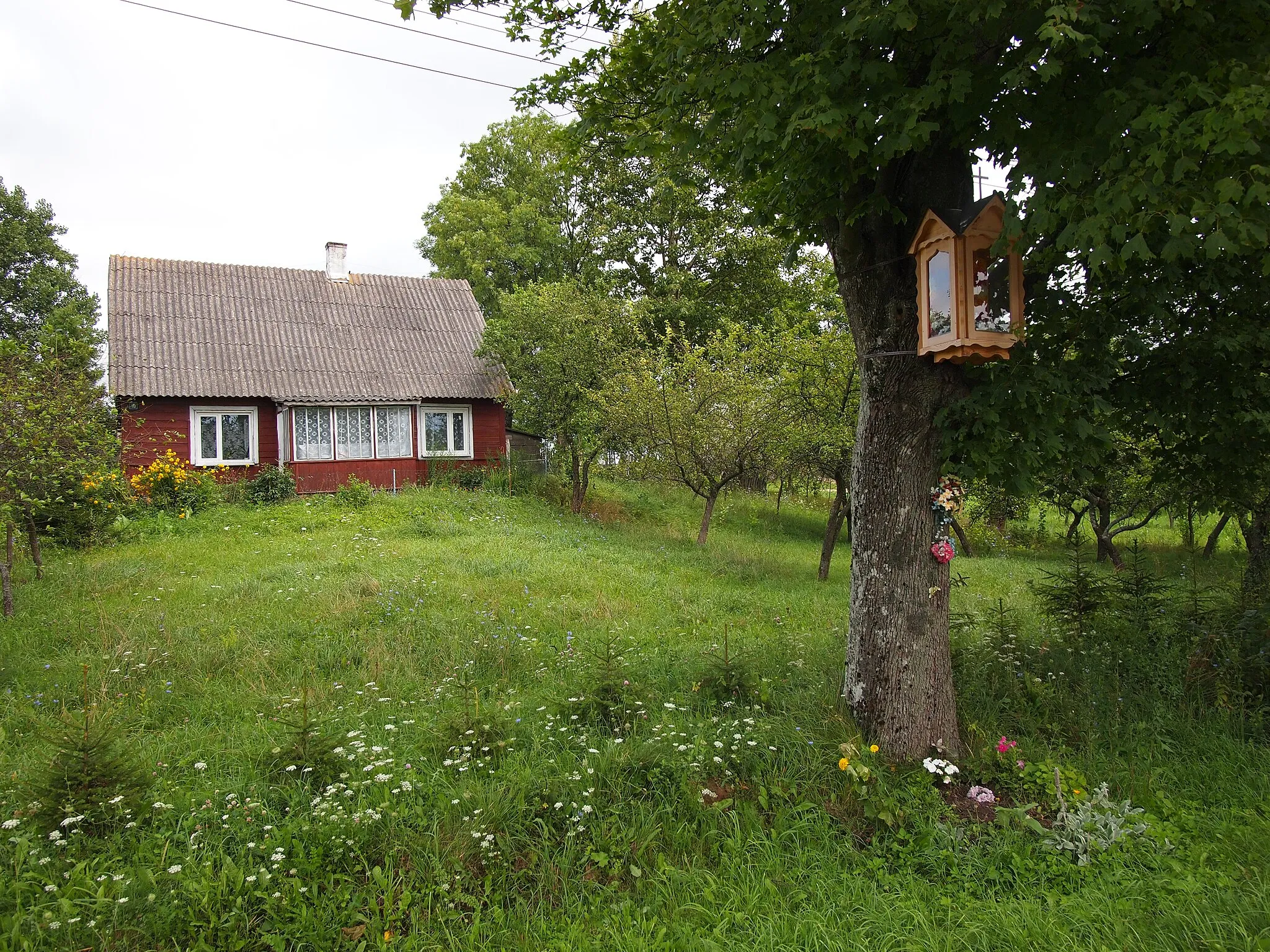 Photo showing: Mikołajewo, gmina Krasnopol