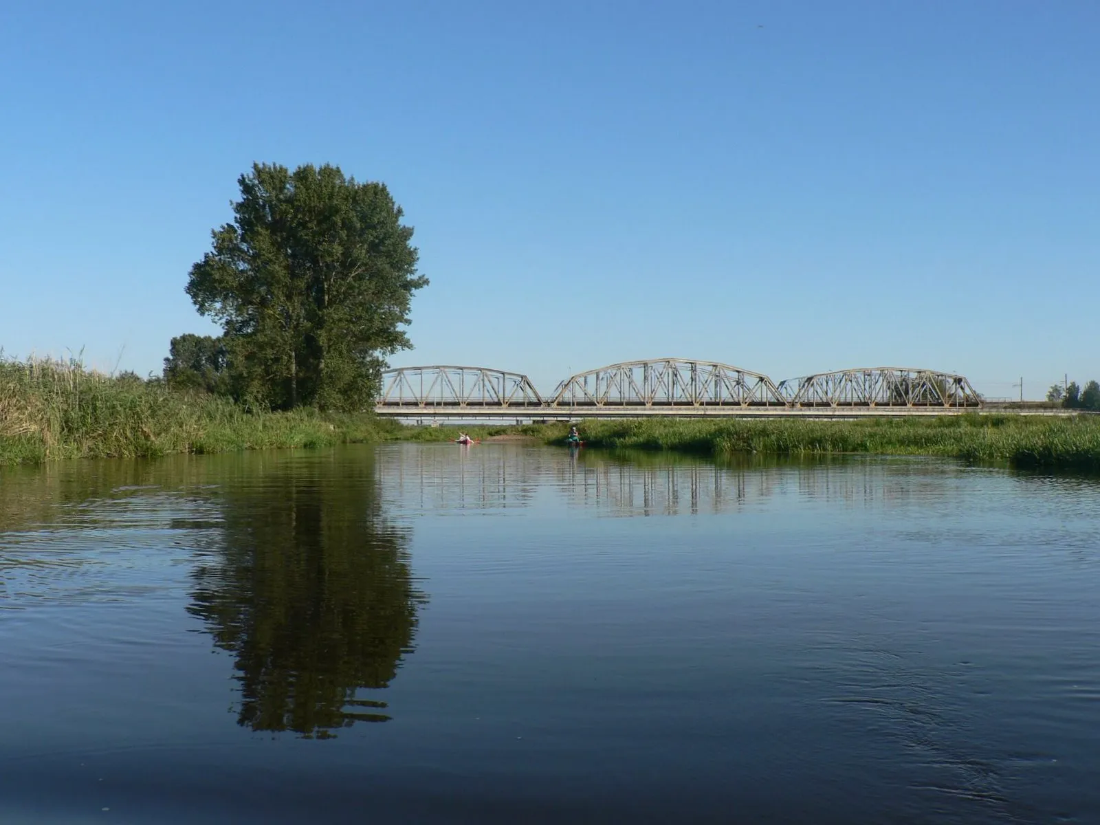 Photo showing: Narew w Uhowie