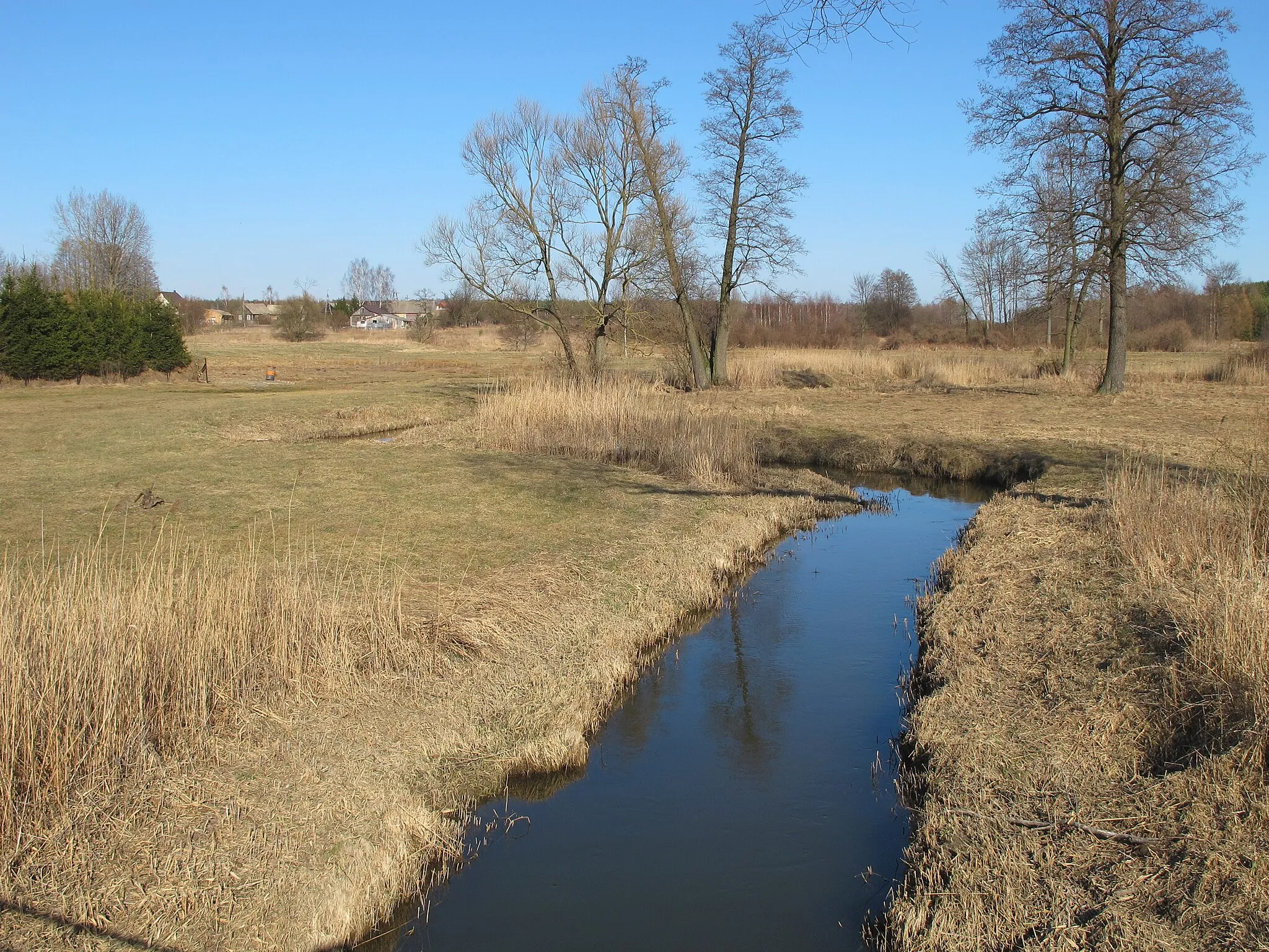 Photo showing: Turośnianka river near Turośń Dolna village, gmina Turośń Kościelna, podlaskie, Poland