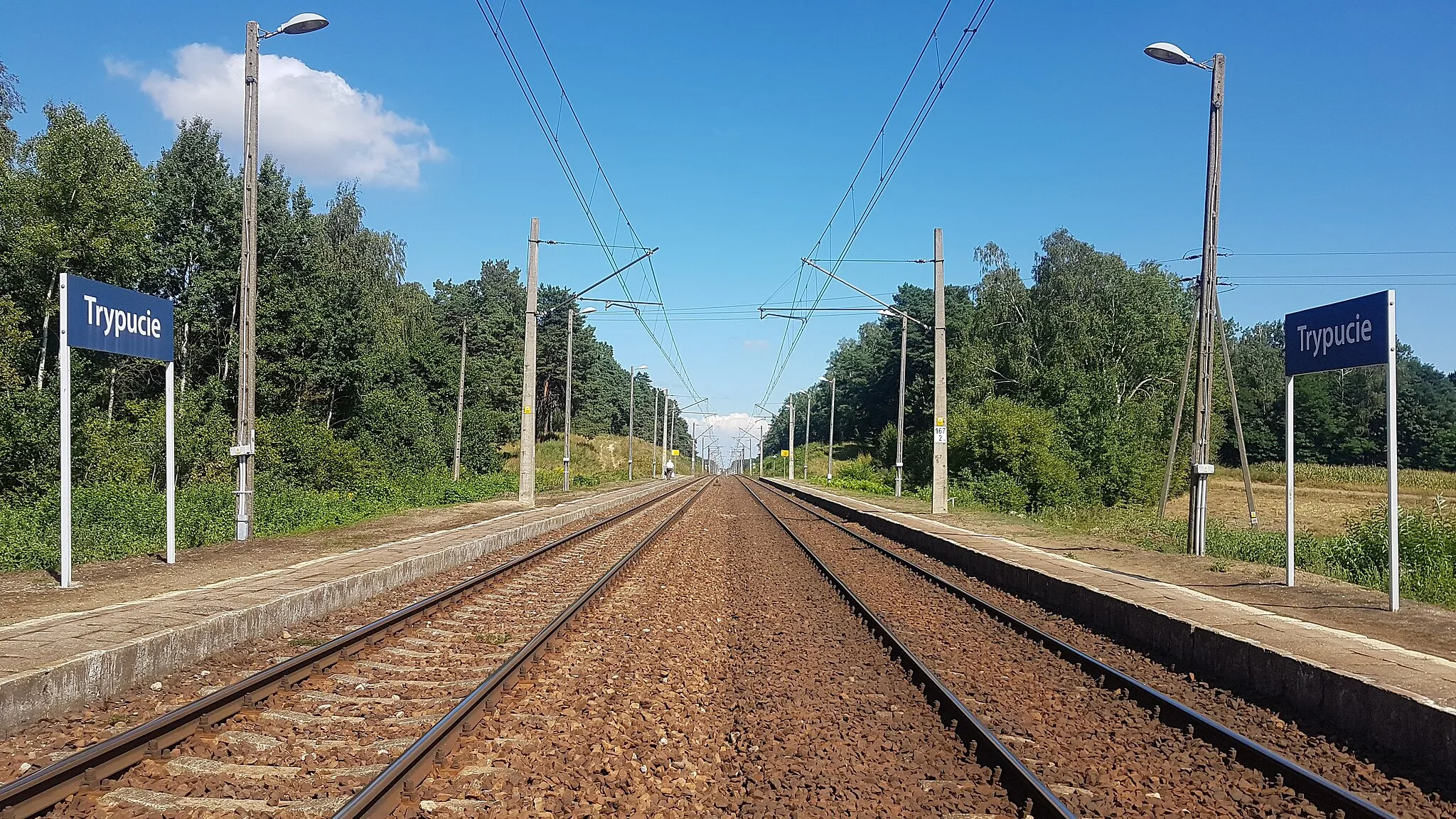 Photo showing: przystanek kolejowy Trypucie - widok ogólny na perony, widok w kierunku Białegostoku