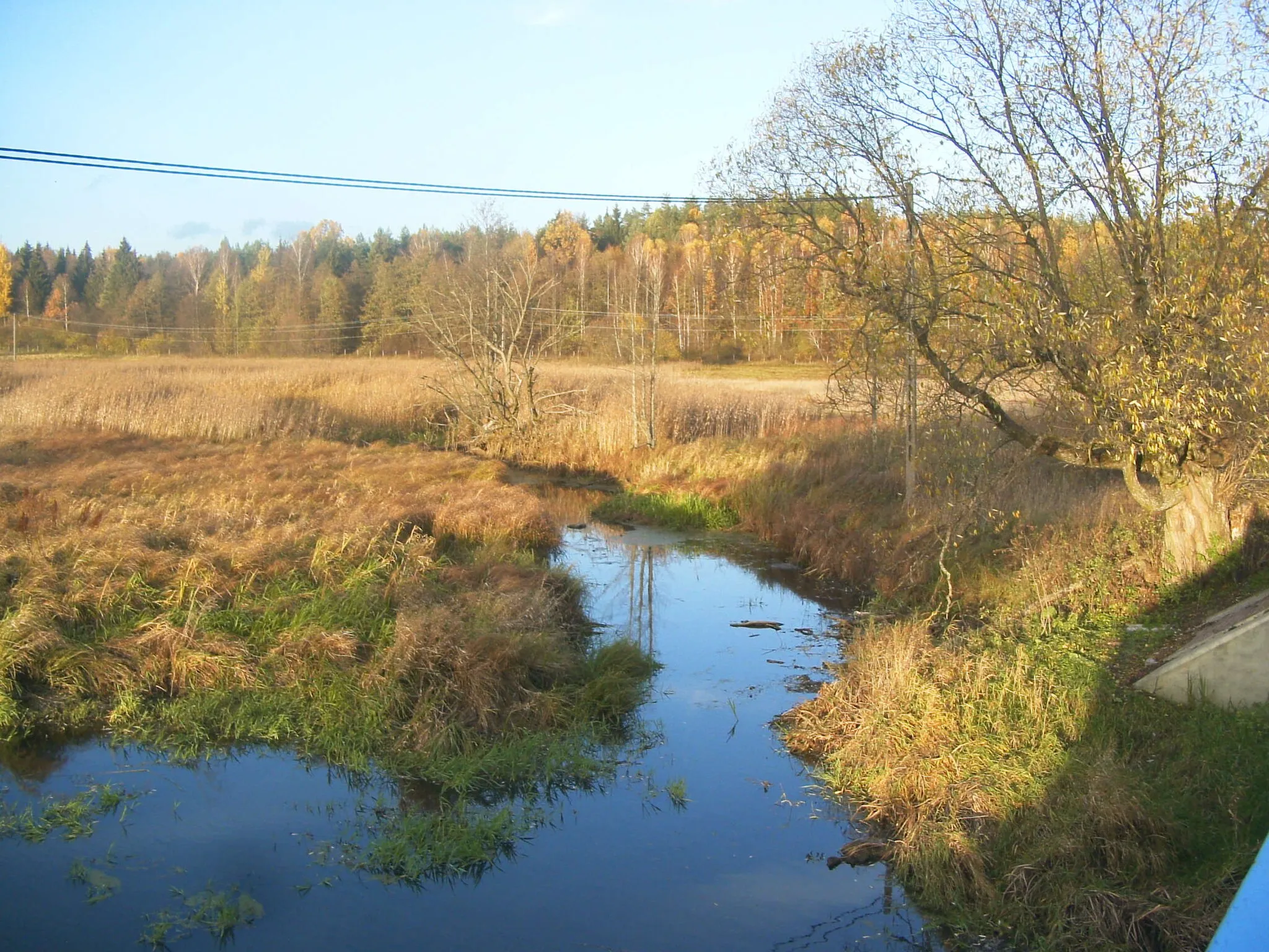 Photo showing: Sokołda River, Poland