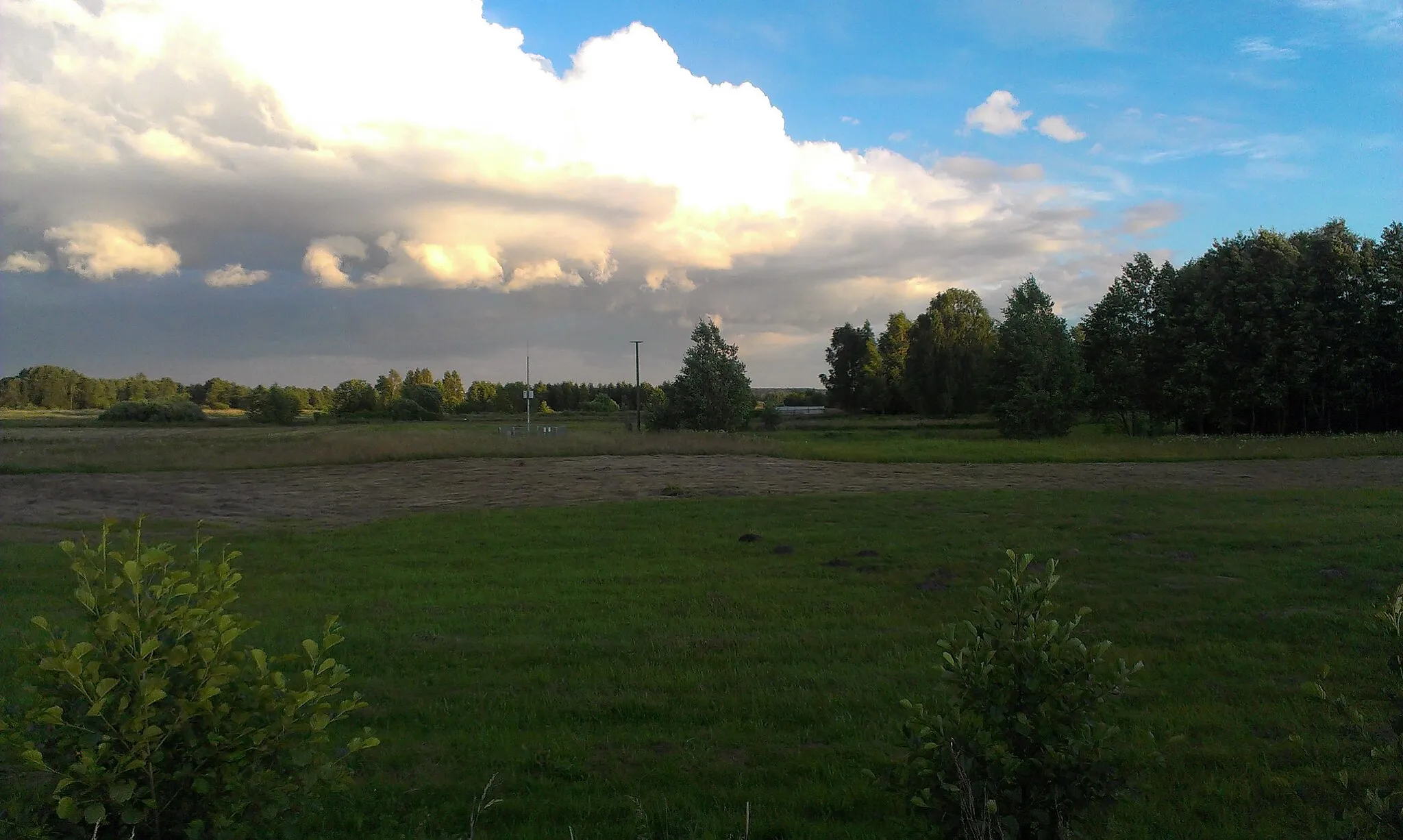 Photo showing: Gniazdo bociana białego (zniszczone) znajdujące się we wsi Sochonie