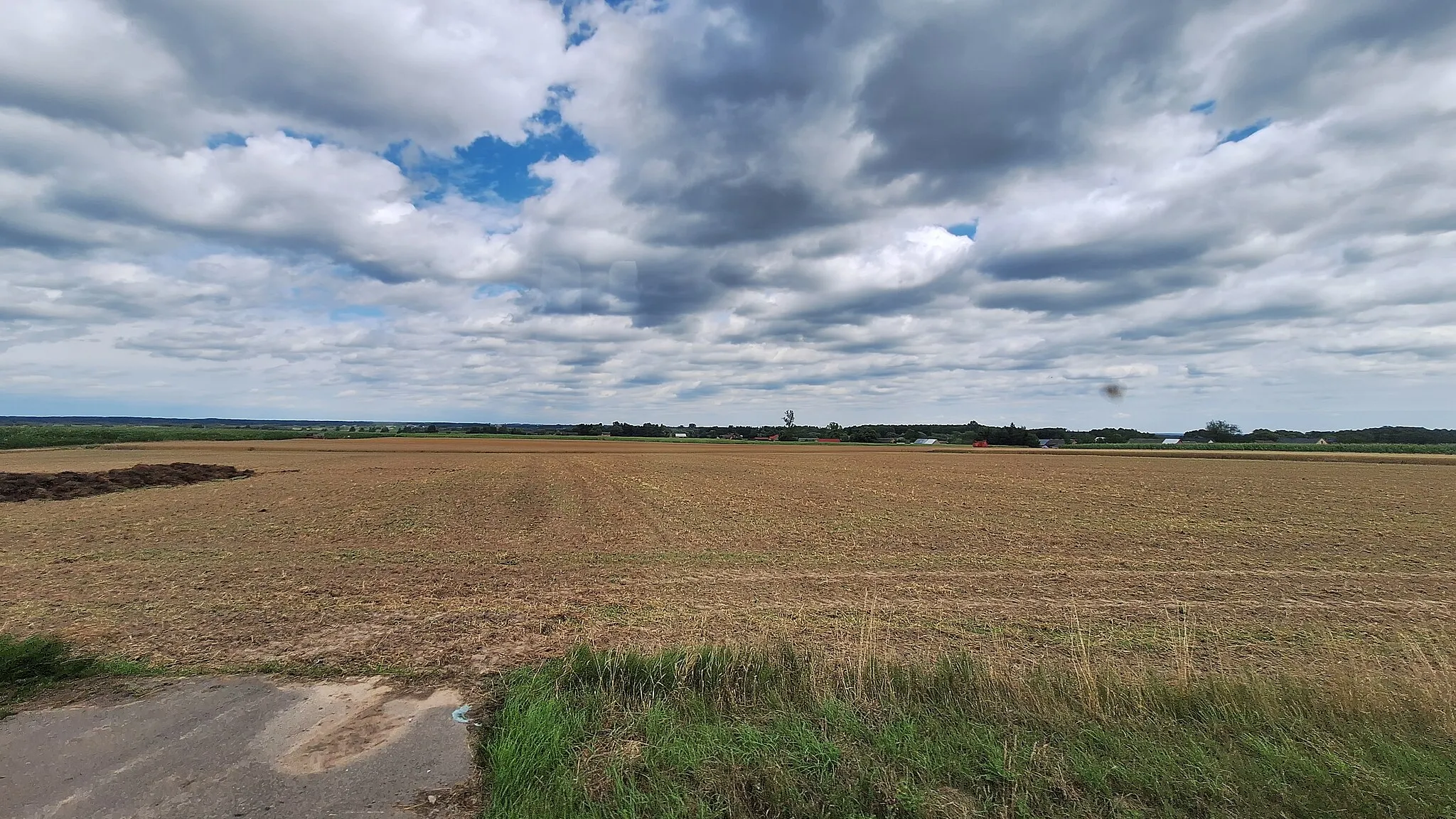 Photo showing: August 2023 in Podlaskie Voivodeship