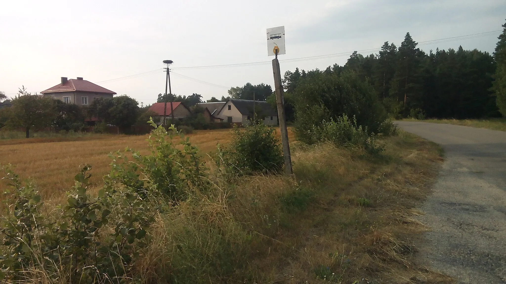 Photo showing: Gniazdo bociana białego znajdujące się we wsi Ponikła