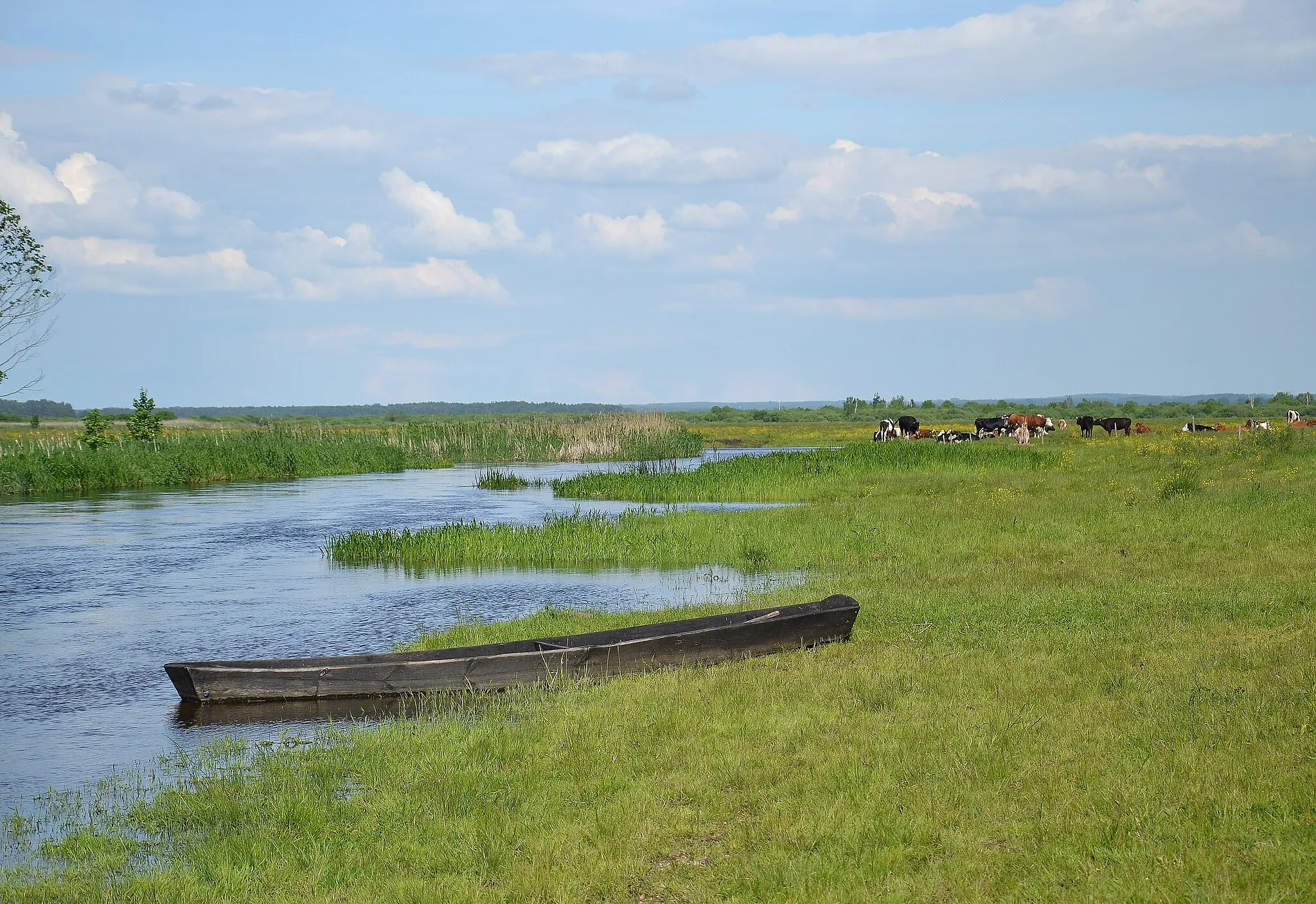 Photo showing: Biebrza National Park, Poland - river in village Jagłowo (Jaglovas)