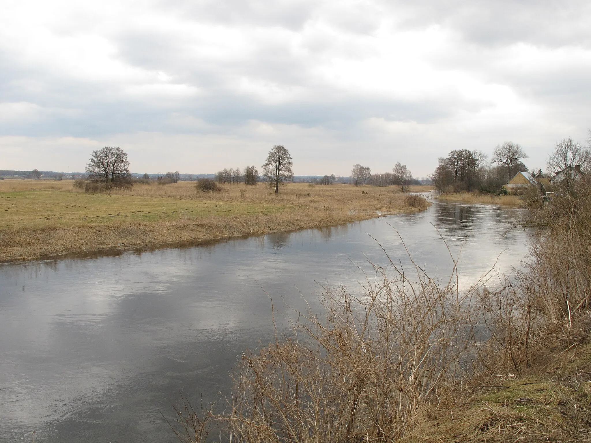 Photo showing: Supraśl river at Dzikie, gm. Choroszcz, podlaskie, Poland.