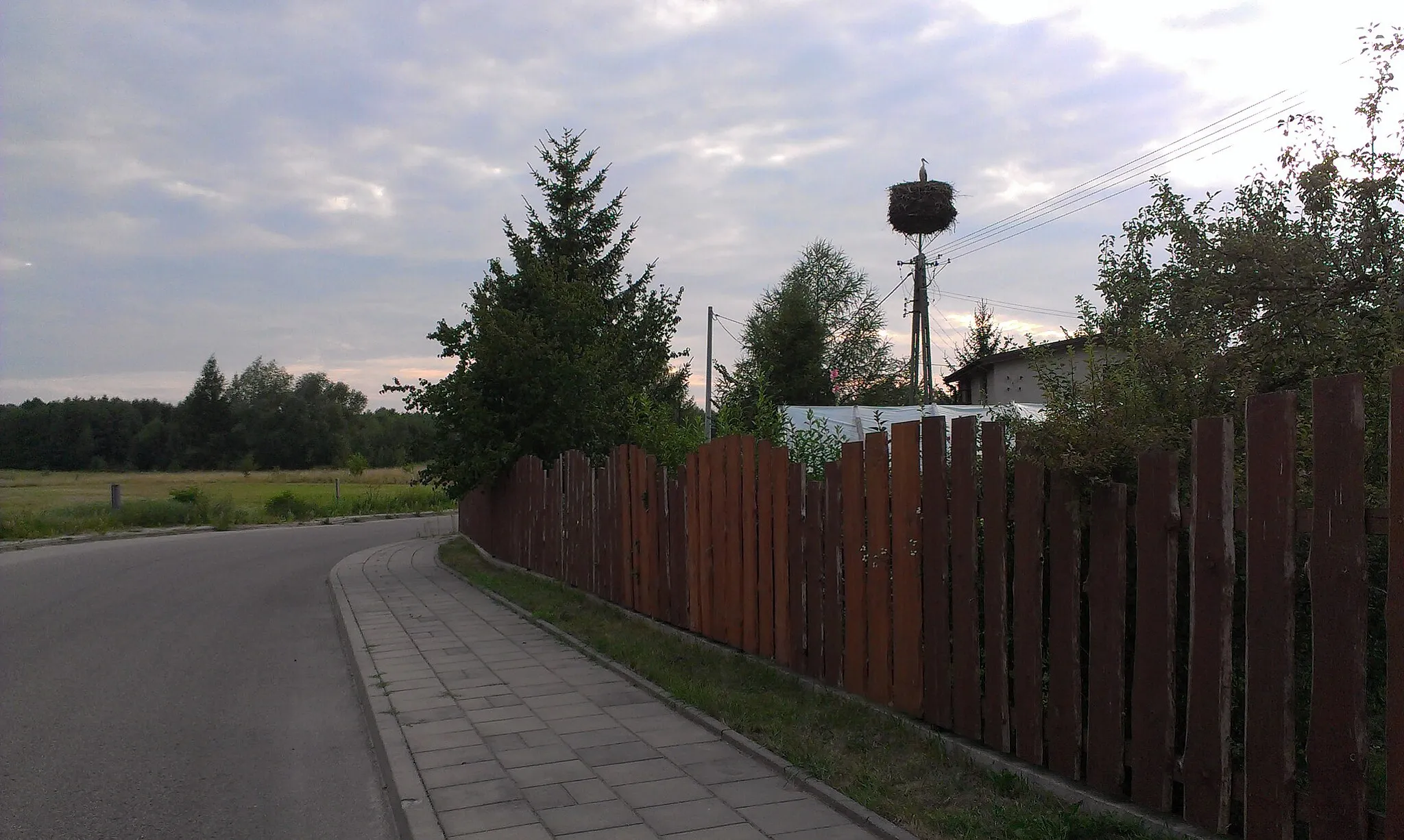 Photo showing: Gniazdo bociana białego znajdujące się we wsi Dzikie