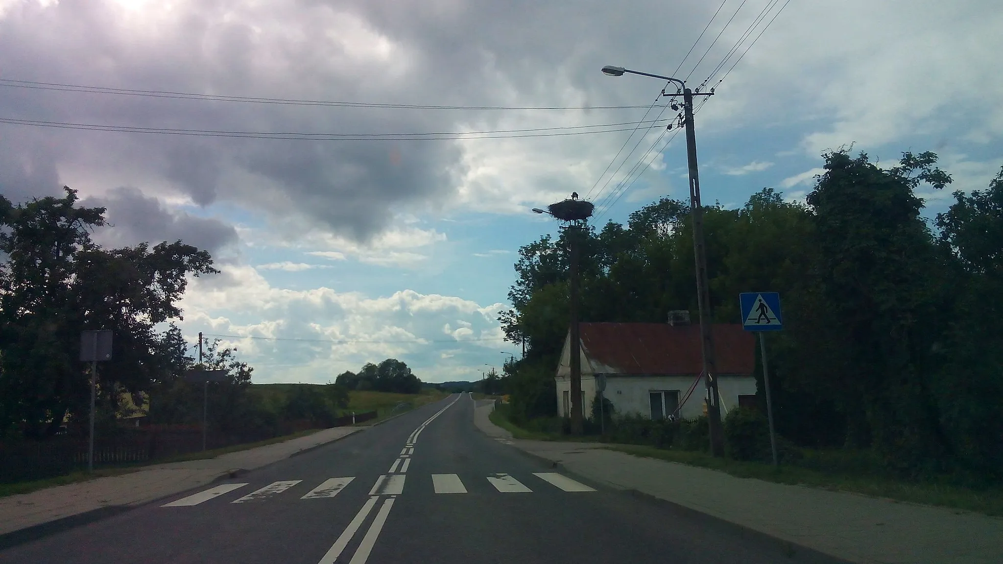 Photo showing: Gniazdo bociana białego znajdujące się we wsi Chojnowo przy DK58