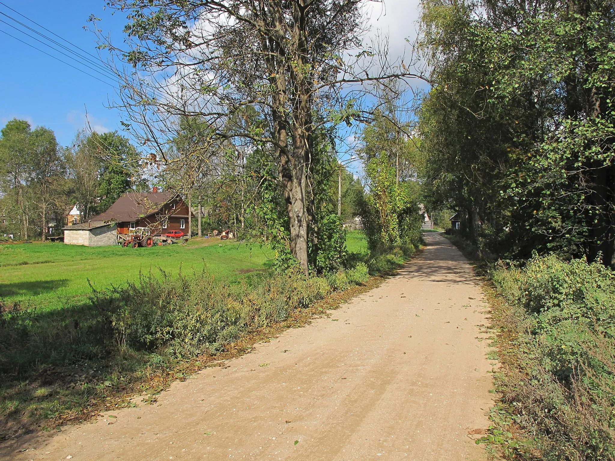 Photo showing: Brzozówka Ziemiańska, gmina Czarna Białostocka, podlaskie, Poland