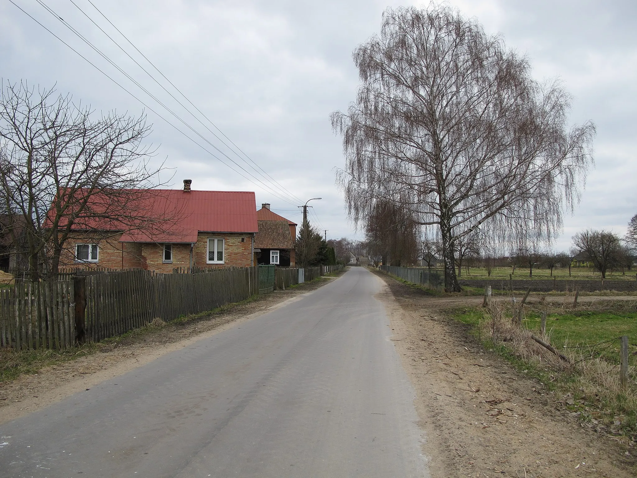Photo showing: Borsukówka, gm. Dobrzyniewo Duże, podlaskie, Poland.