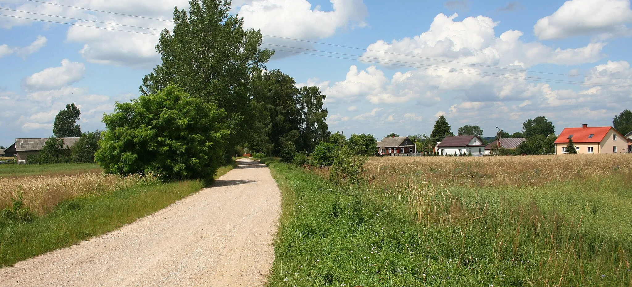 Photo showing: Fragment miejscowości Żuki, wjazd od wsi Dasze, gmina Kleszczele, woj. podlaskie