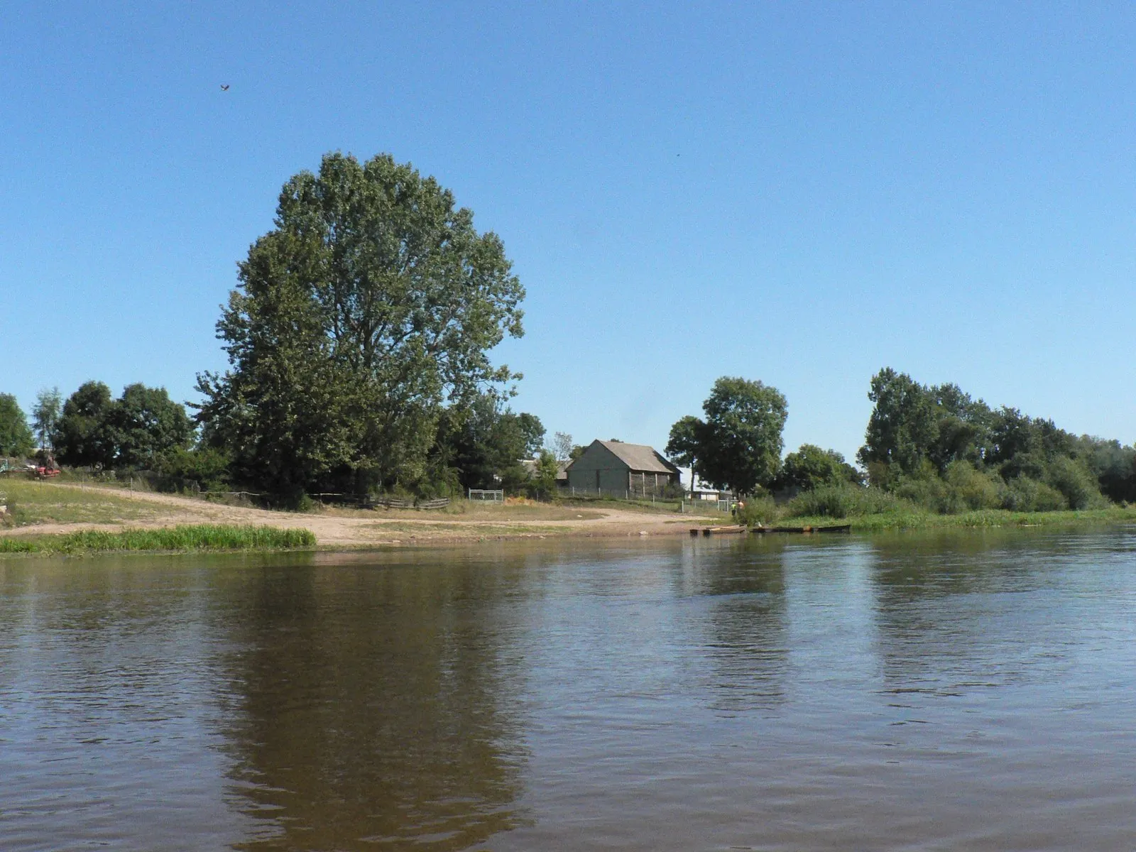 Photo showing: Narew w Zawykach