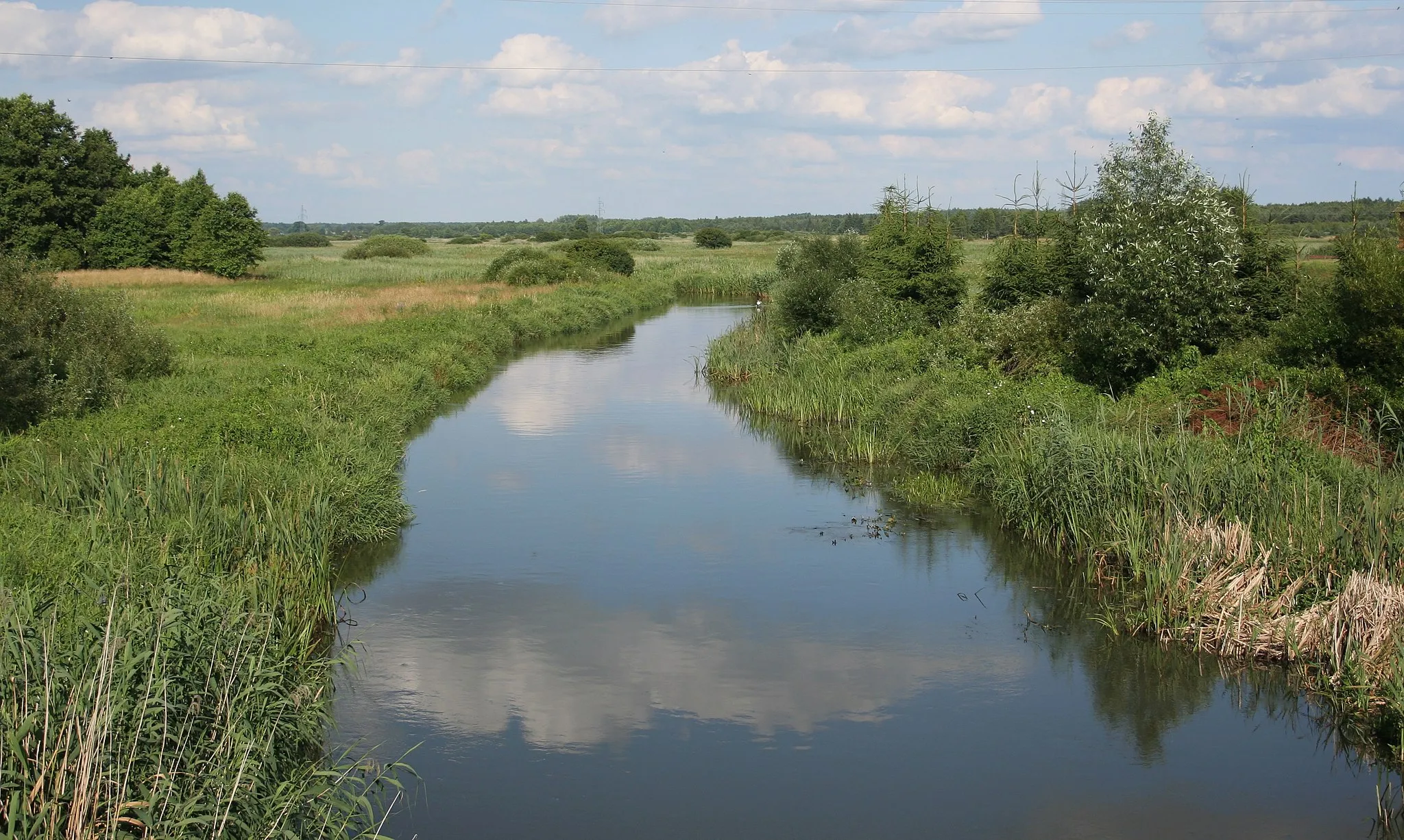 Photo showing: Rzeka Narew w pobliżu miejscowości Suszcza, woj. podlaskie