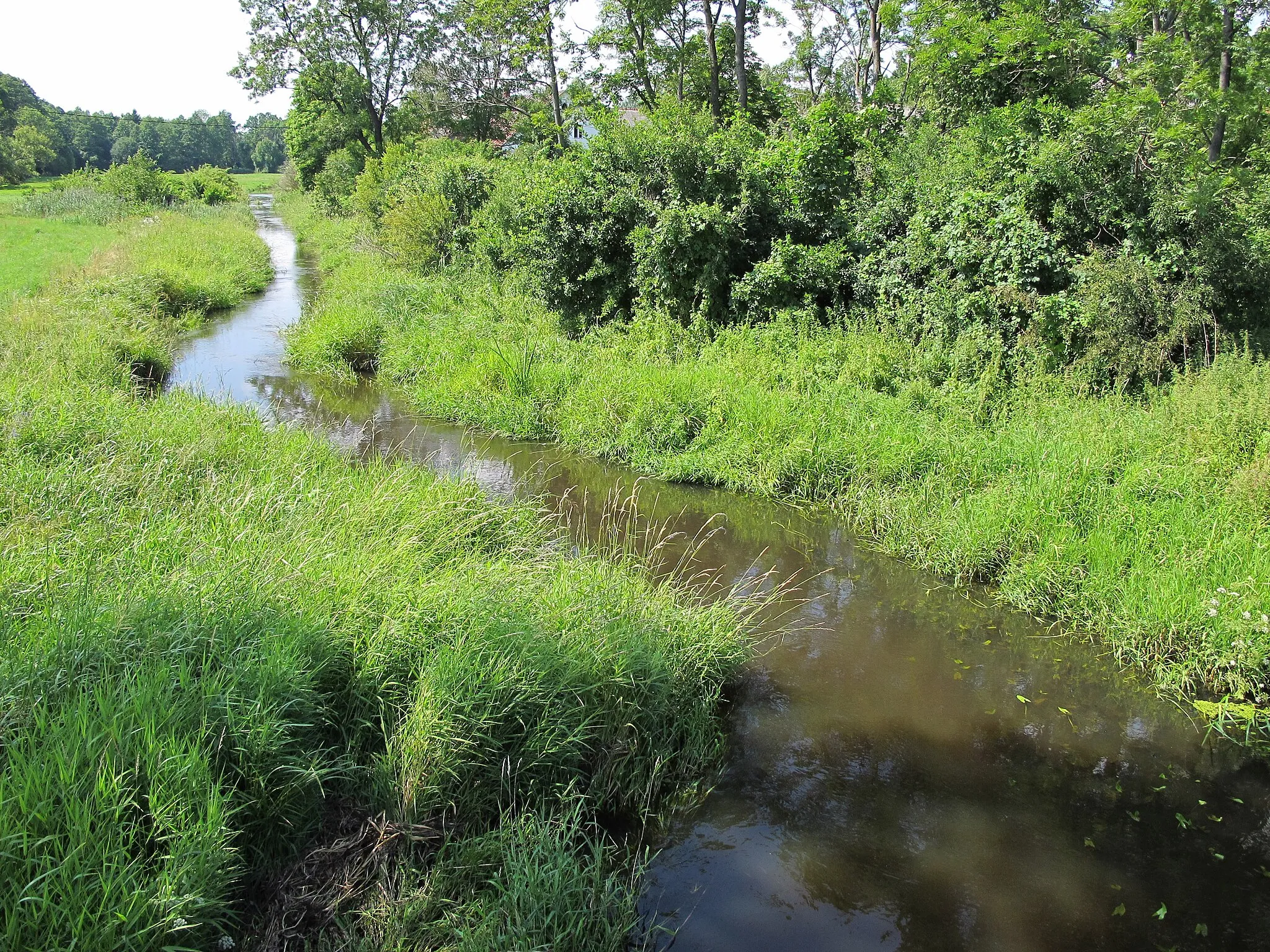 Photo showing: Strabelka river seen from a bridge in the Strabla village, gmina Wyszki, podlaskie, Poland