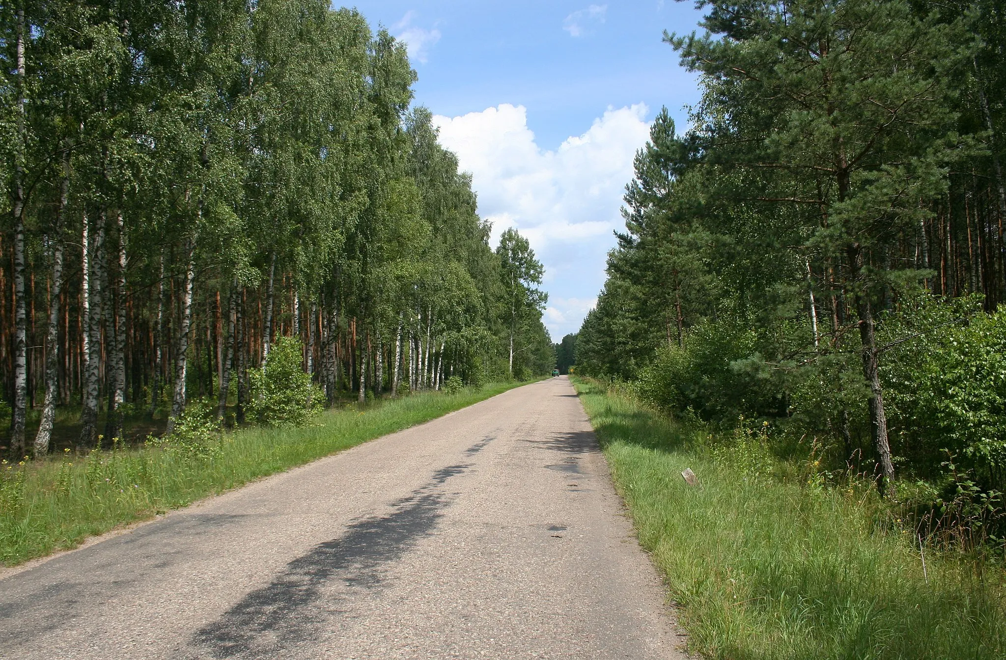 Photo showing: Podlaski Szlak Bociani (Bociani Szlak rowerowy), droga między miejscowościami Narew i Gorędy, woj. podlaskie