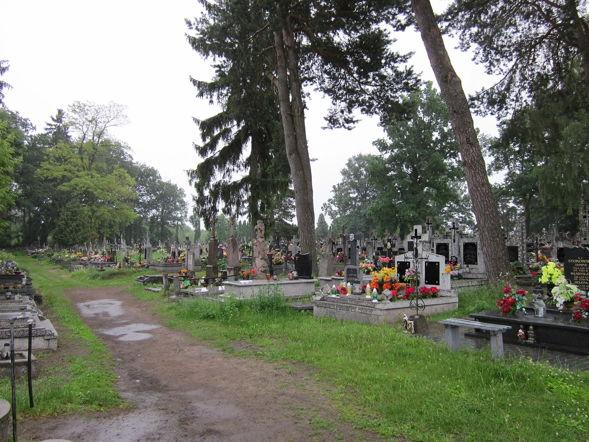 Photo showing: Na chwilę obecną nagrobki na tym cmentarzu nie są zinwentaryzowane – brak spisu wszystkich pochowanych.