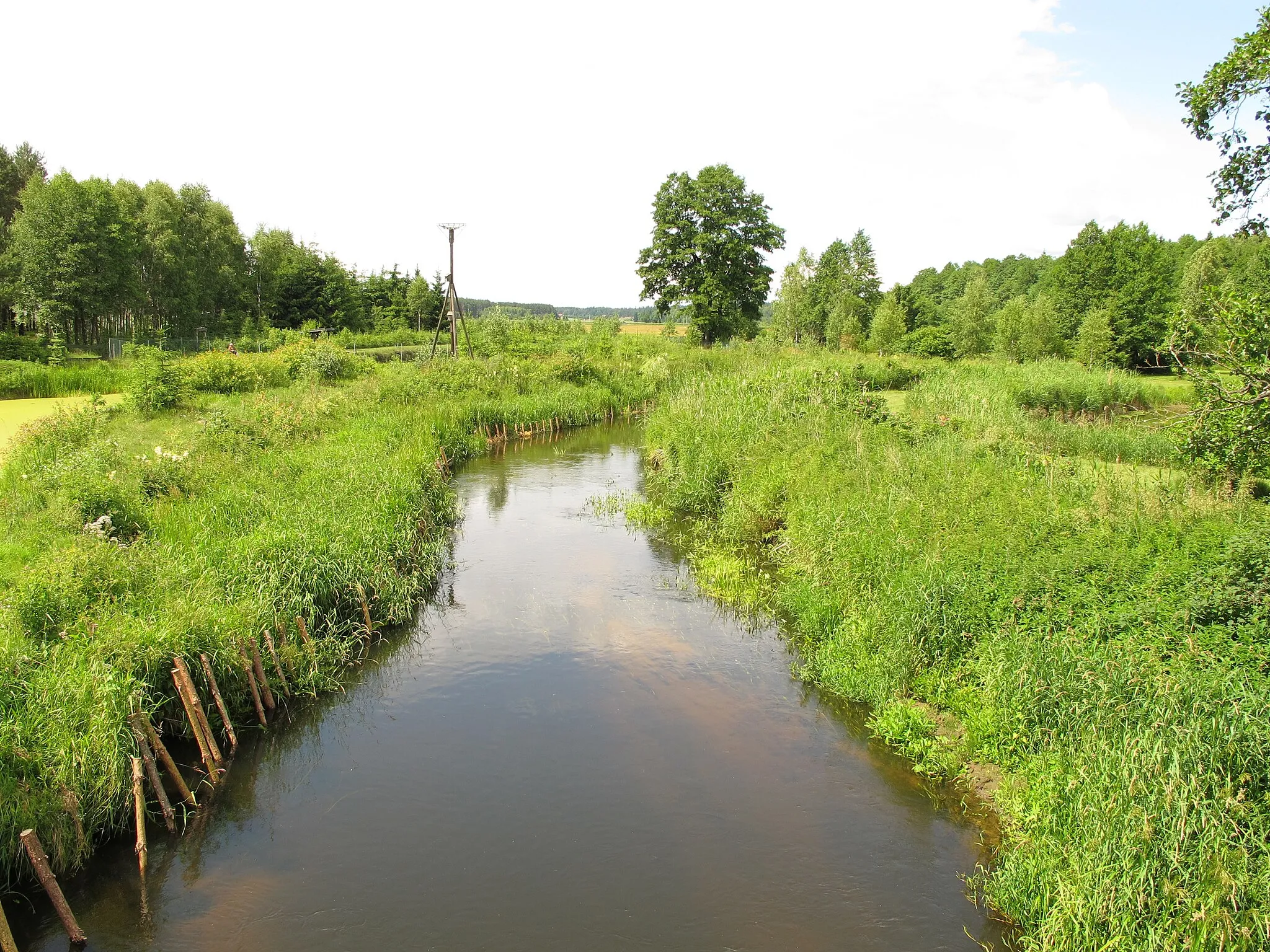 Photo showing: Supraśl river seen from a bridge in the Nowosiółki village, gmina Gródek, podlaskie, Poland