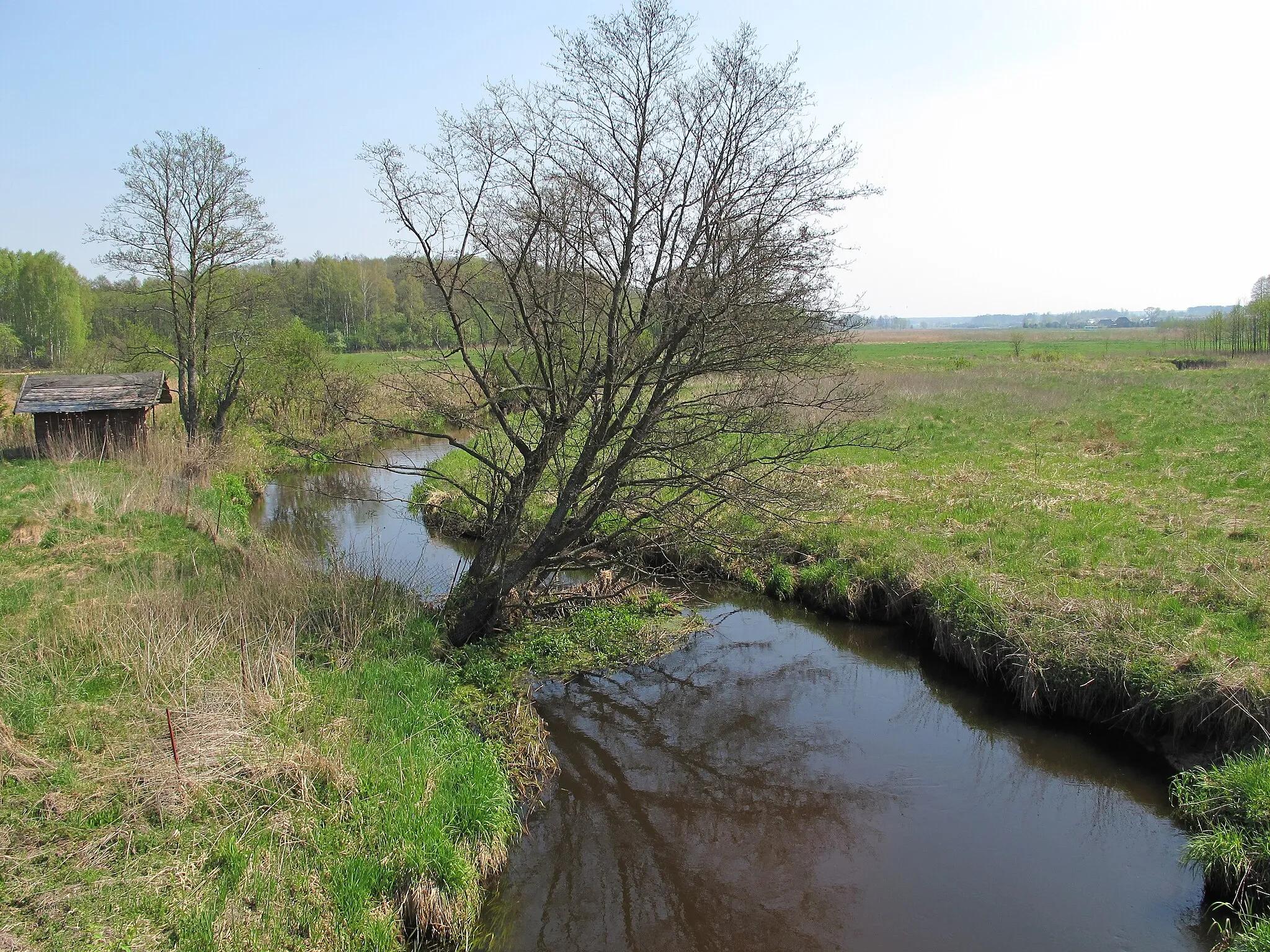 Photo showing: View on Supraśl river from bridge near Nowosiółki village, gmina Gródek, podlaskie, Poland
