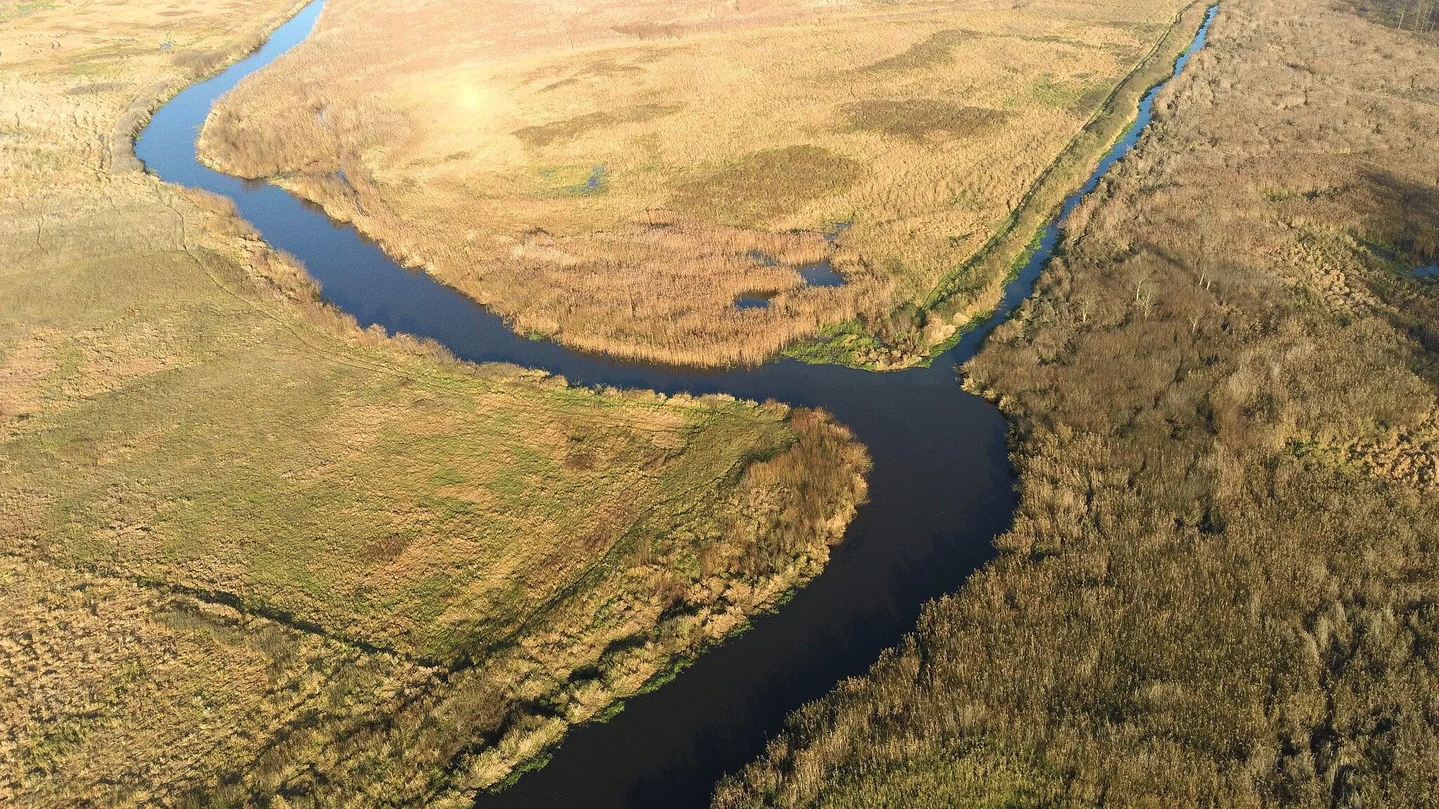 Photo showing: Orlanka, estuary to Narew. West direction is at the bottom of the photo.