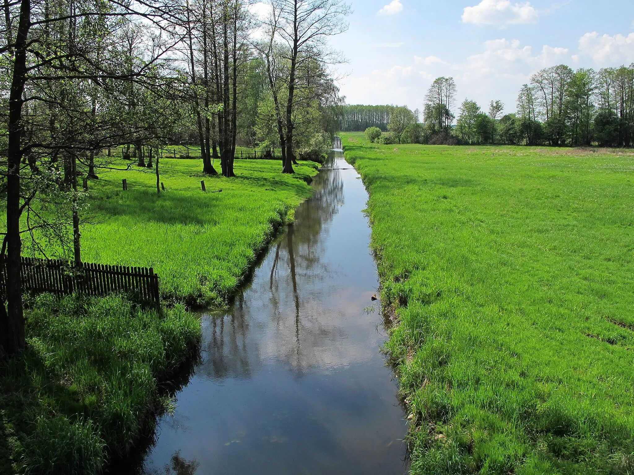 Photo showing: Podlaskie, gm Łapy, Płonka Kościelna, Poland; Awissa river