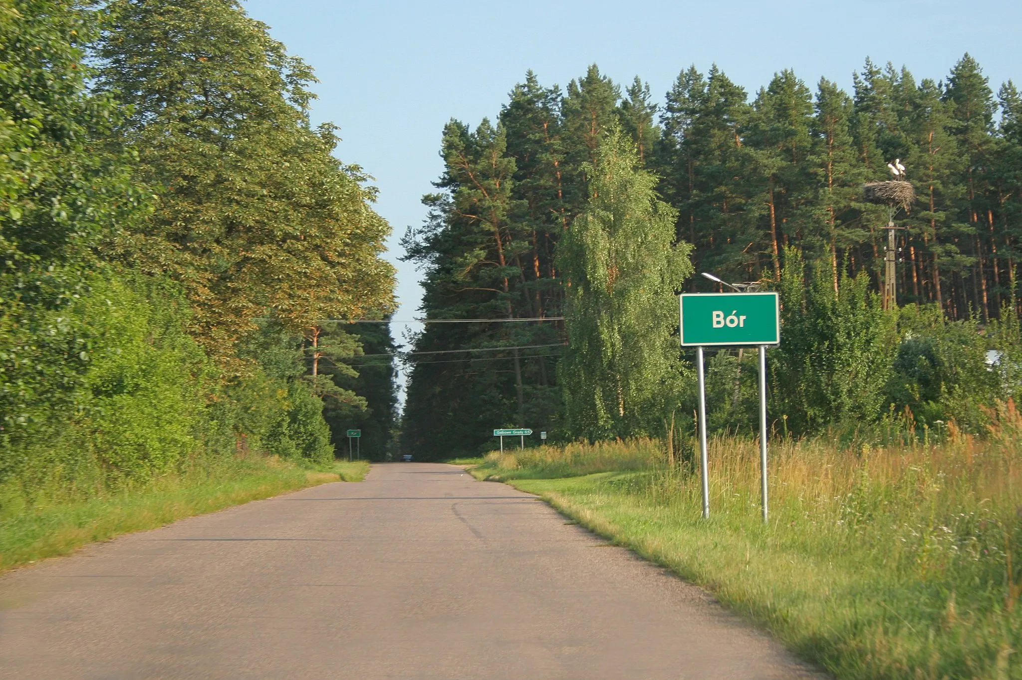 Photo showing: Droga wjazdowa do wsi Bór.