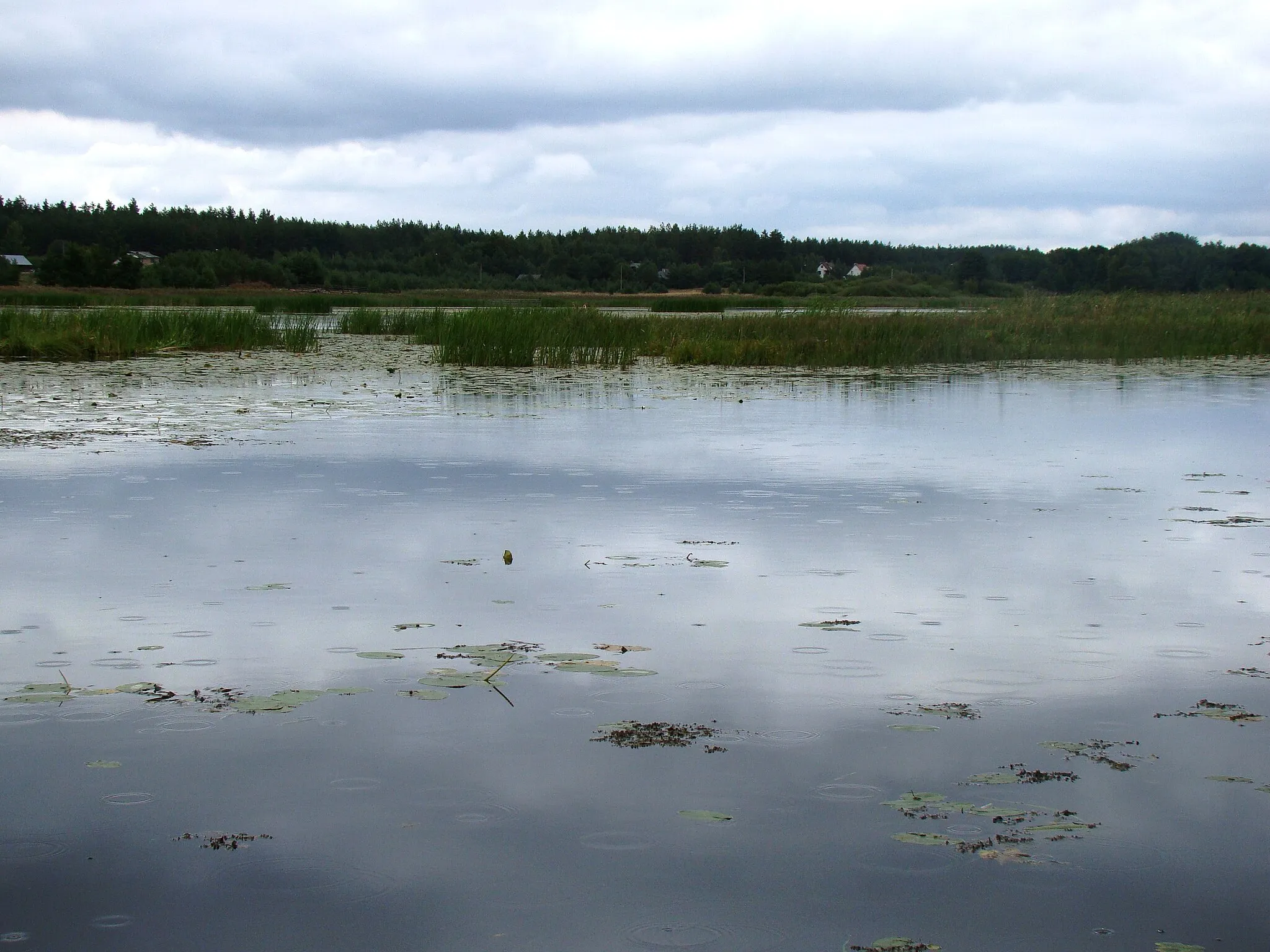 Photo showing: Jezioro Orle położone na Równinie Augustowskiej
