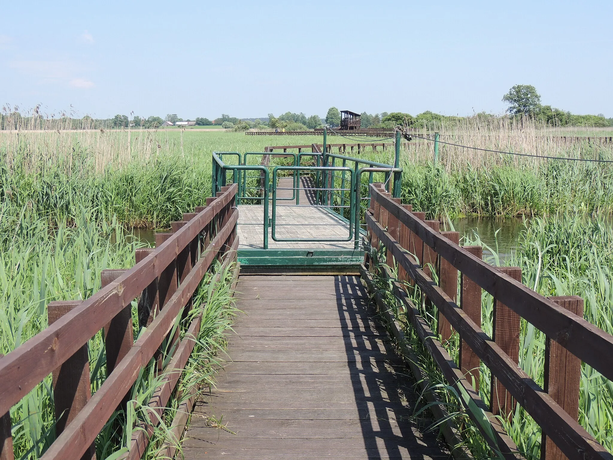 Photo showing: Waniewo,Kładka przez bagna