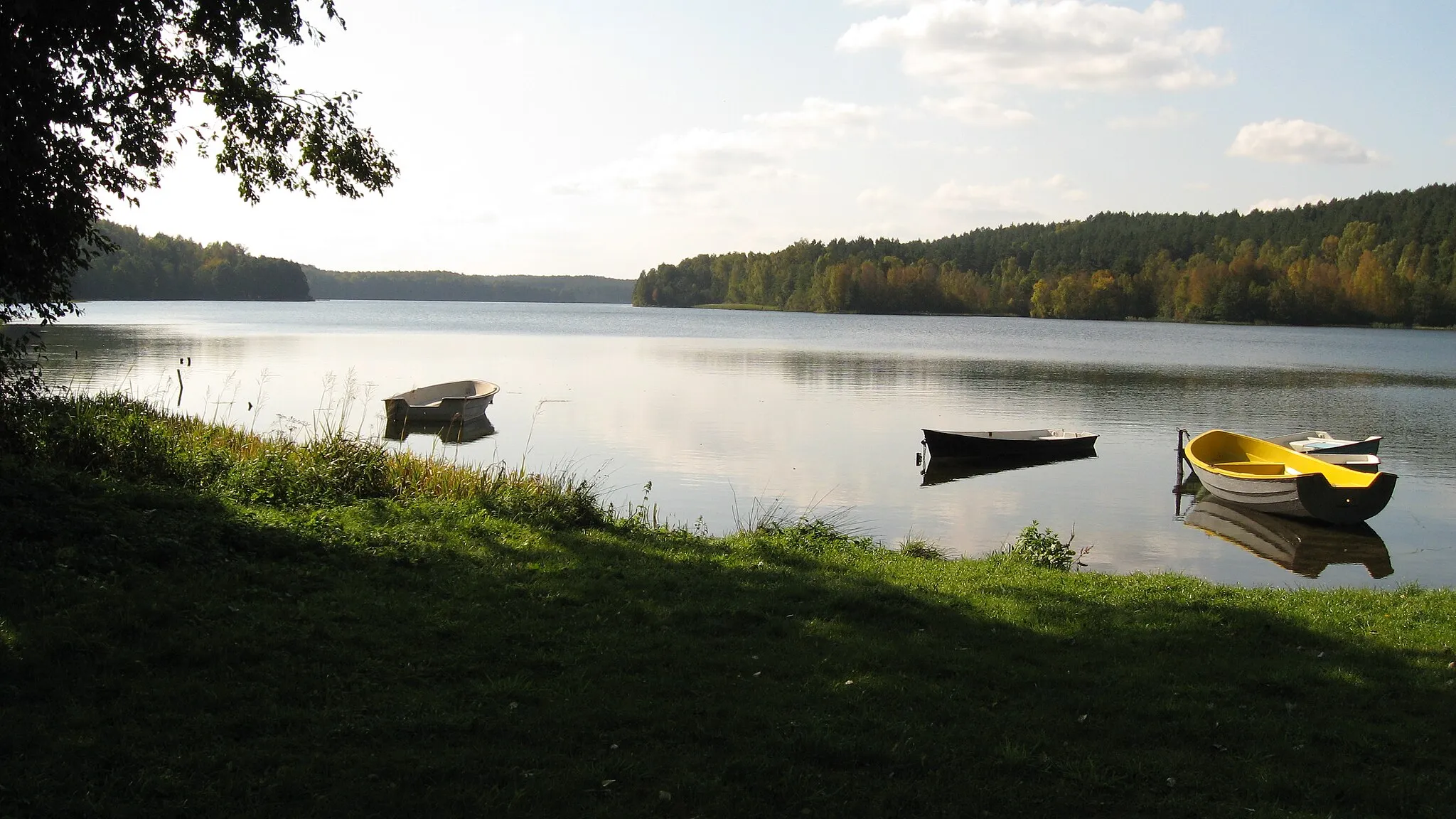 Photo showing: Jezoro Dąbrowsczé