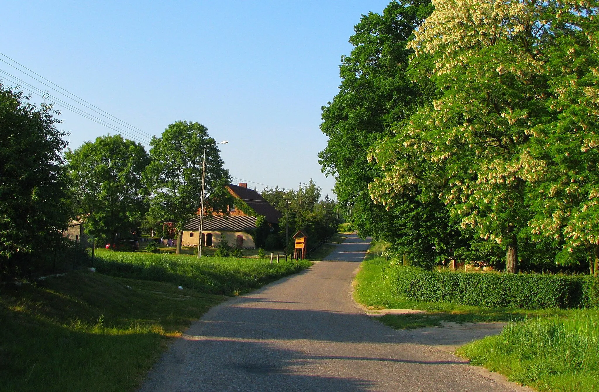 Photo showing: Wardęgowo, gmina Biskupiec
