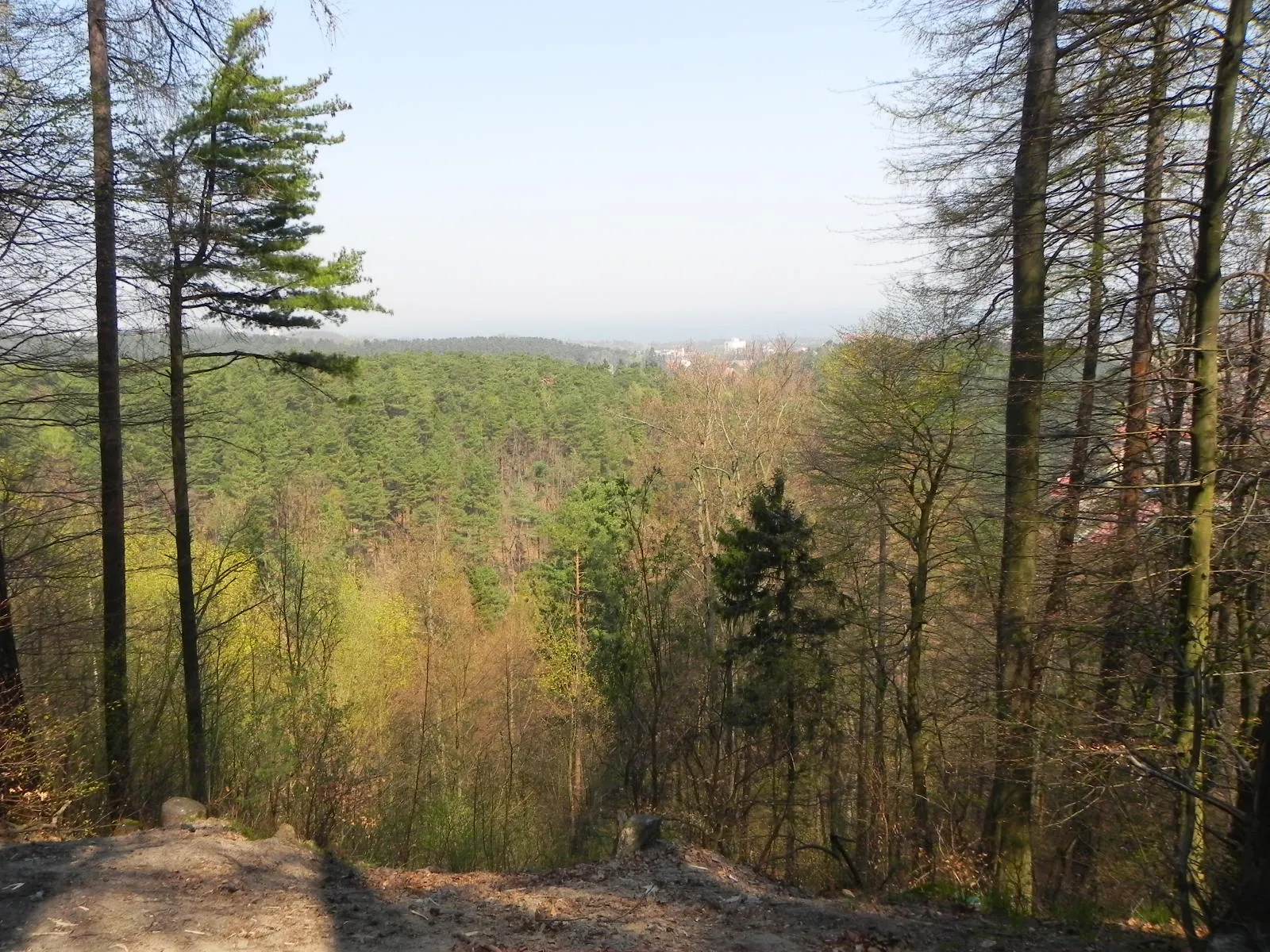 Photo showing: Widok z Glinnej Góry / View from Glinna Góra