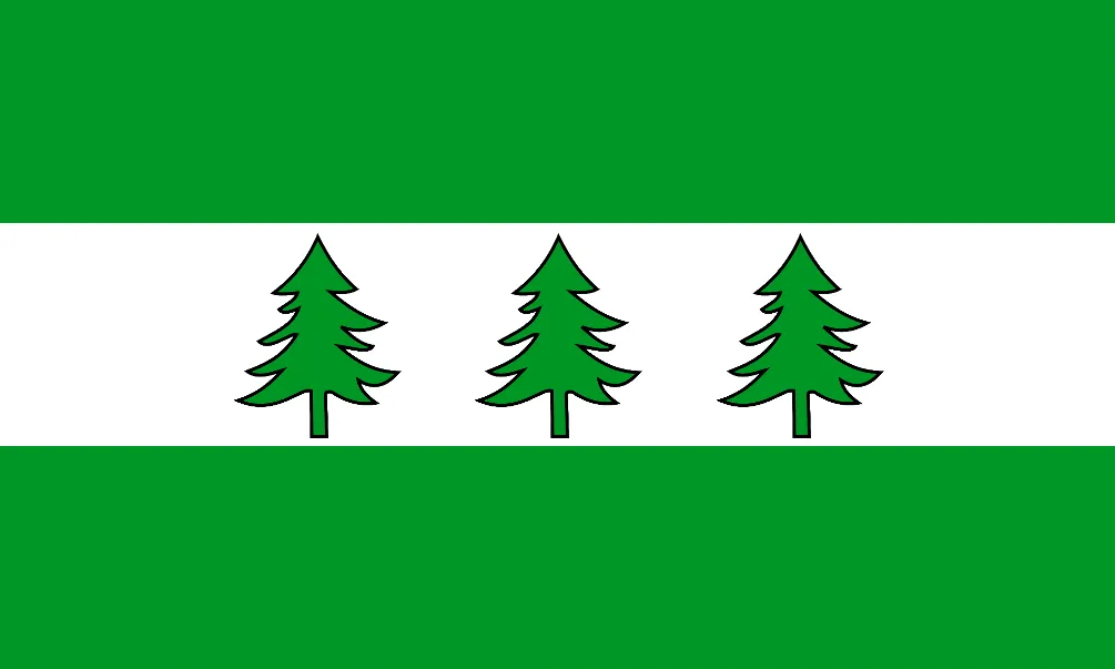 Photo showing: Nowego Klincz flag