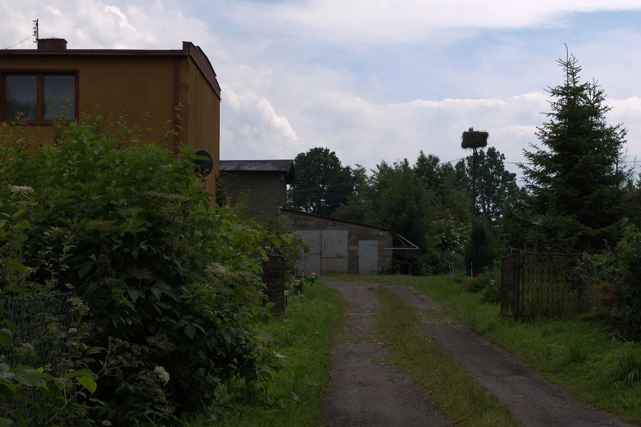 Photo showing: Gniazdo bociana białego w Grabowskiej Hucie, woj. pomorskie