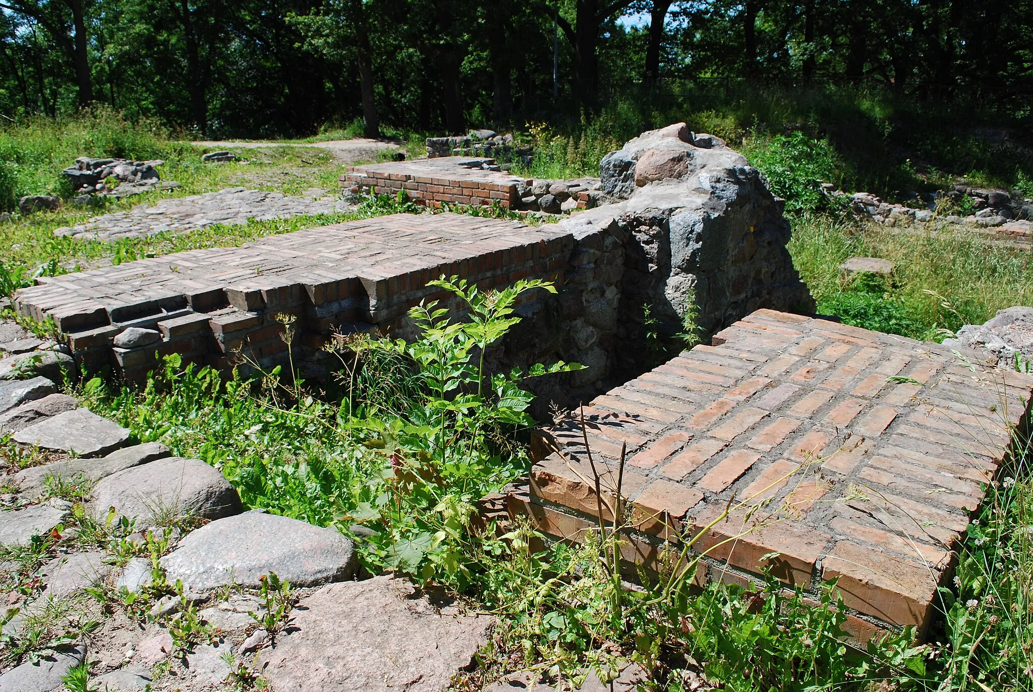 Photo showing: Ruiny zamku krzyżackiego w Dzierzgoniu.