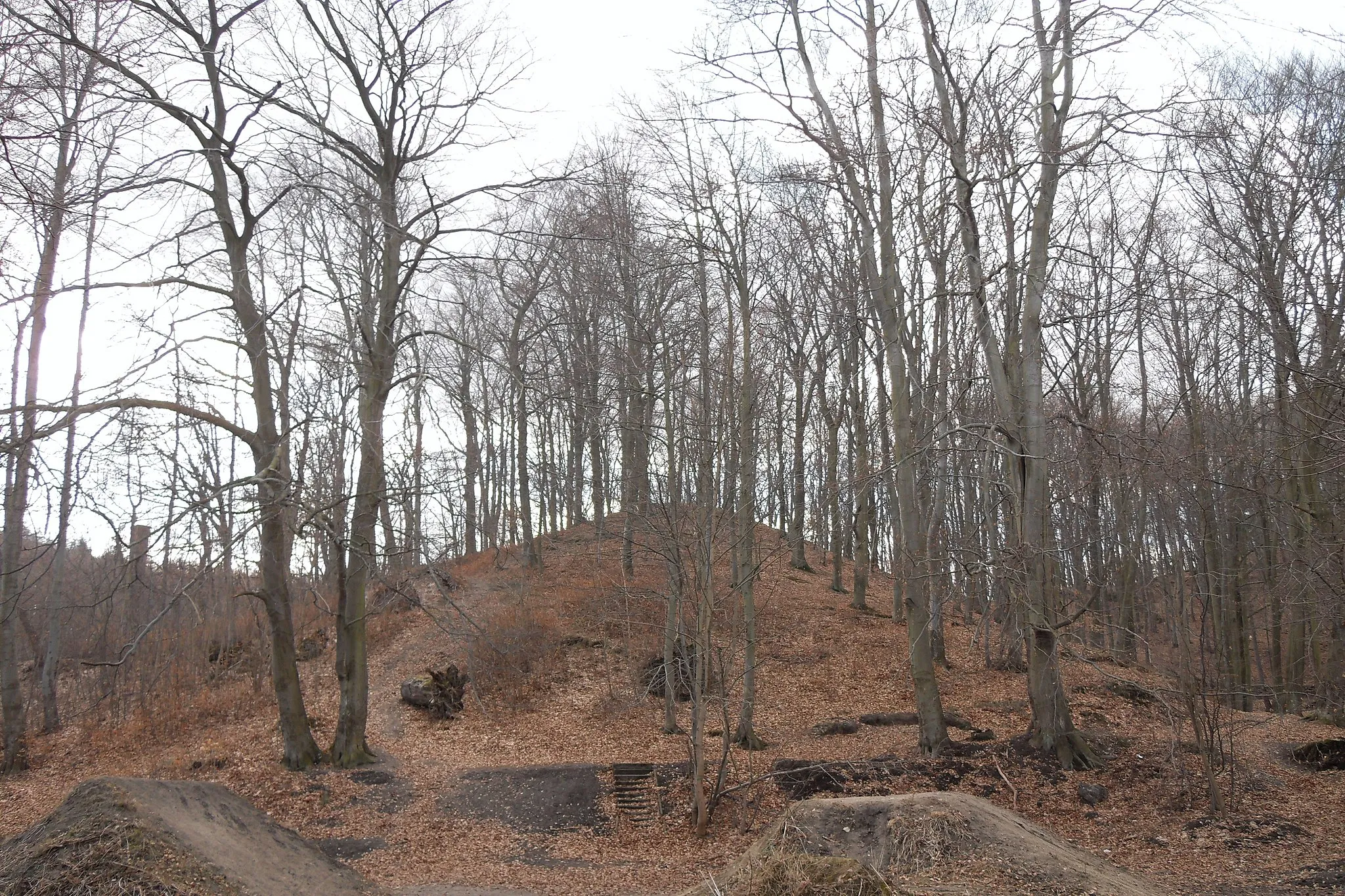 Photo showing: Gdańsk Oliwa - Góra Dantyszka na obszarze Trójmiejskiego Parku Krajobrazowego, w kompleksie Lasów Oliwskich. Dawna niemiecka nazwa "Winterberg" (góra Leopolda von Wintera).