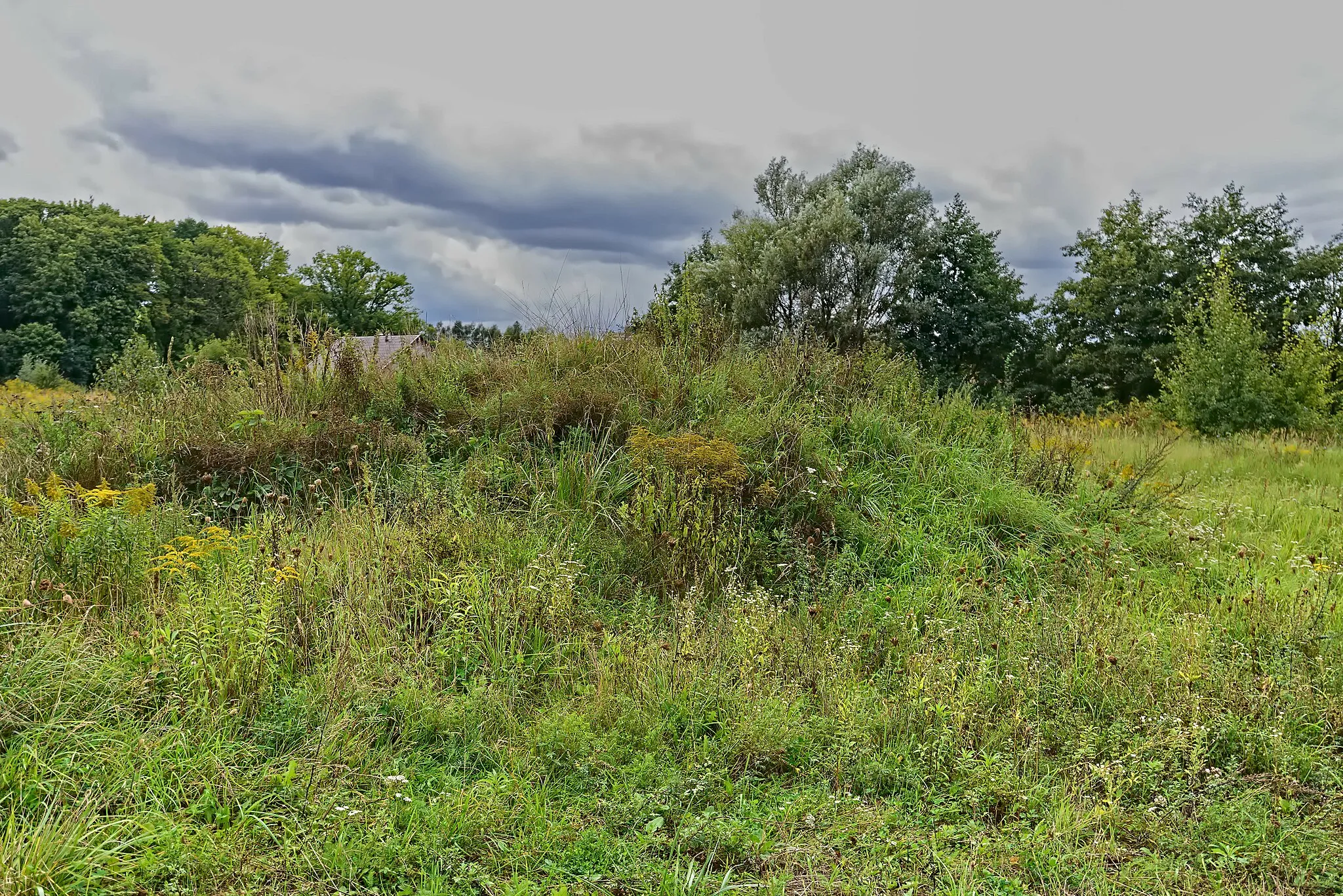 Photo showing: This is a photo of a monument in Poland identified in WLM database by the ID