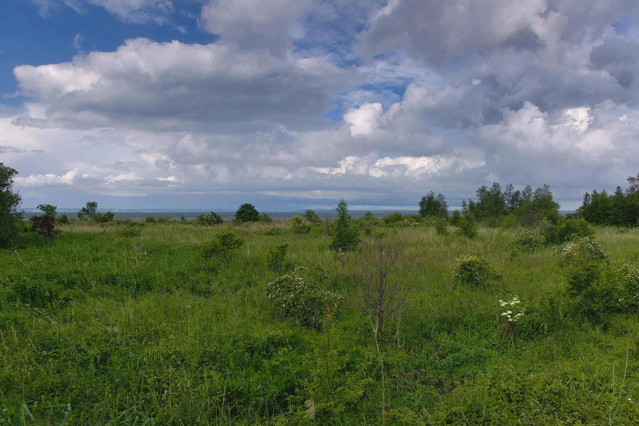 Photo showing: użytek ekologiczny Torfowe Kłyle w Jastarni, widok z wieżyczki widokowej w kierunku zachodnim