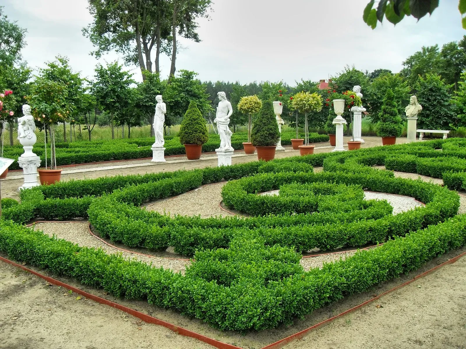 Photo showing: Frank - Polish Gardens Street Kociewie - National show 22