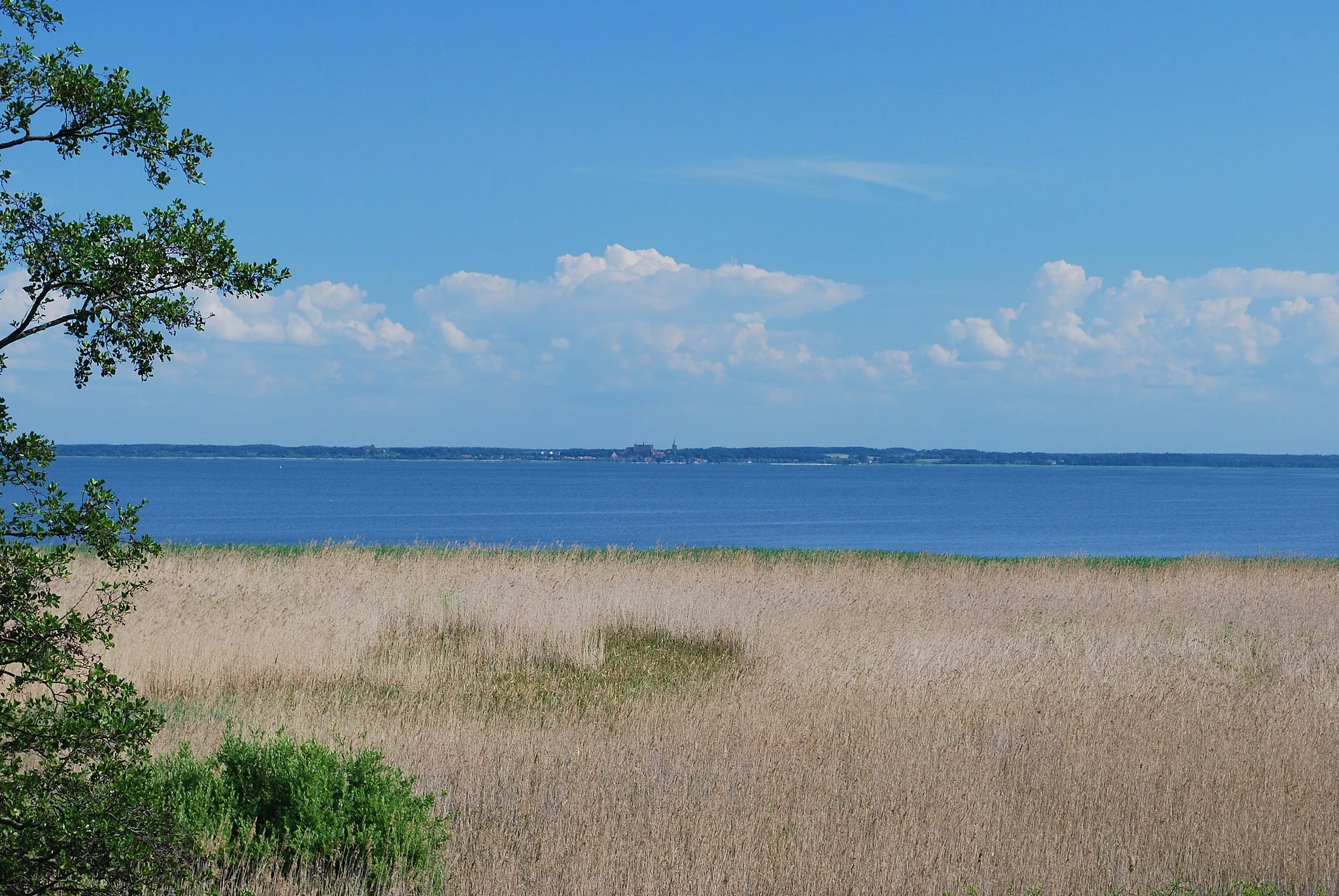 Photo showing: Widok na Frombork z Piasków, na Mierzei Wiślanej