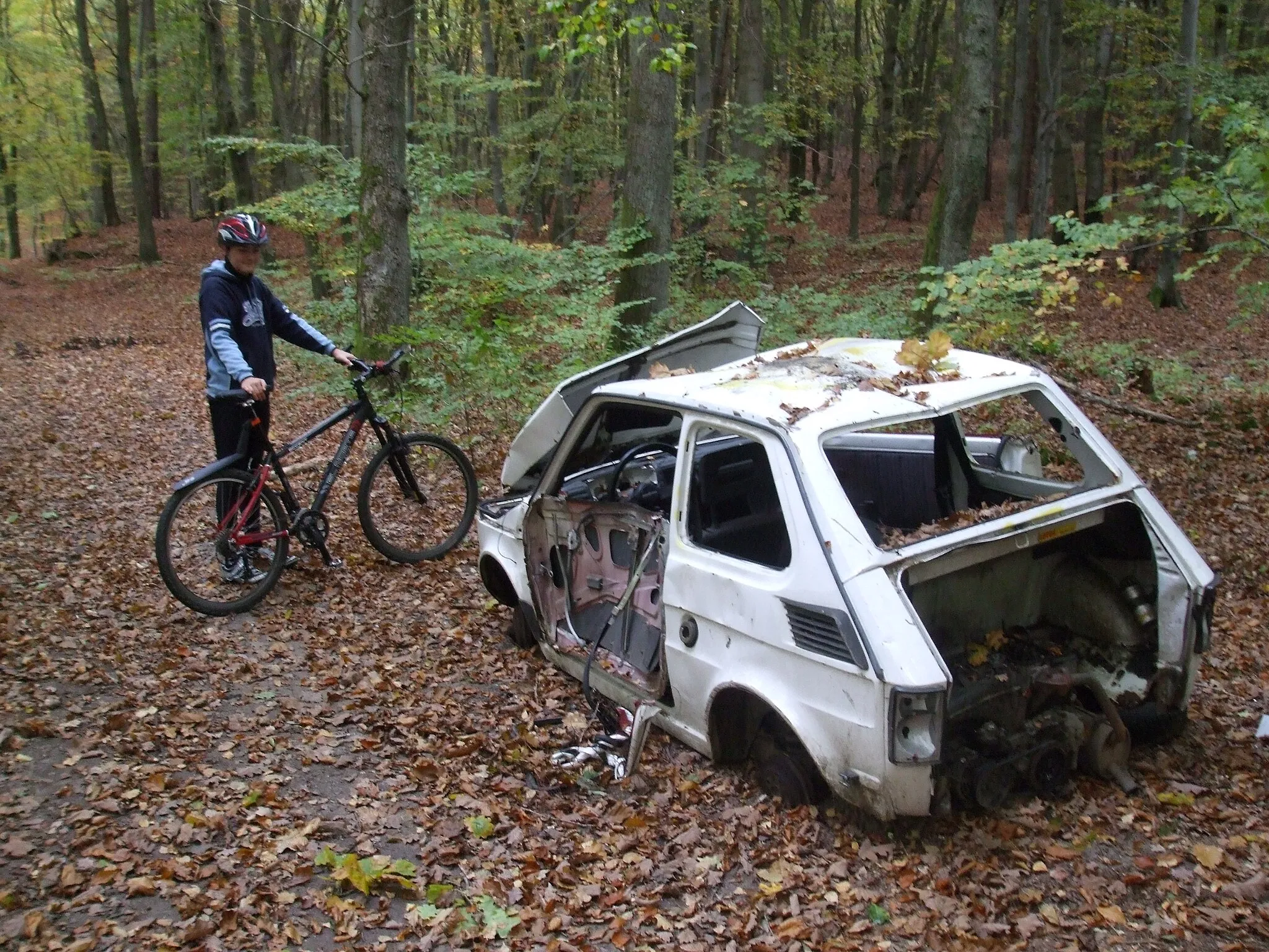 Photo showing: Abandoned Polski Fiat 126p FL in a forest.