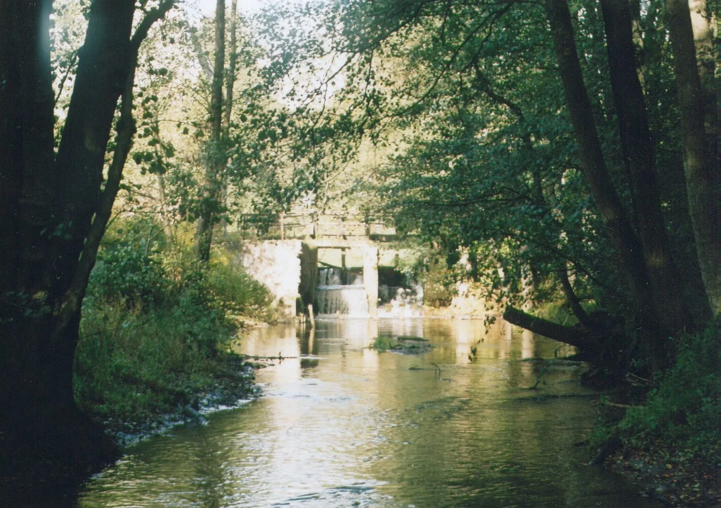 Photo showing: Młyn w Machowinie