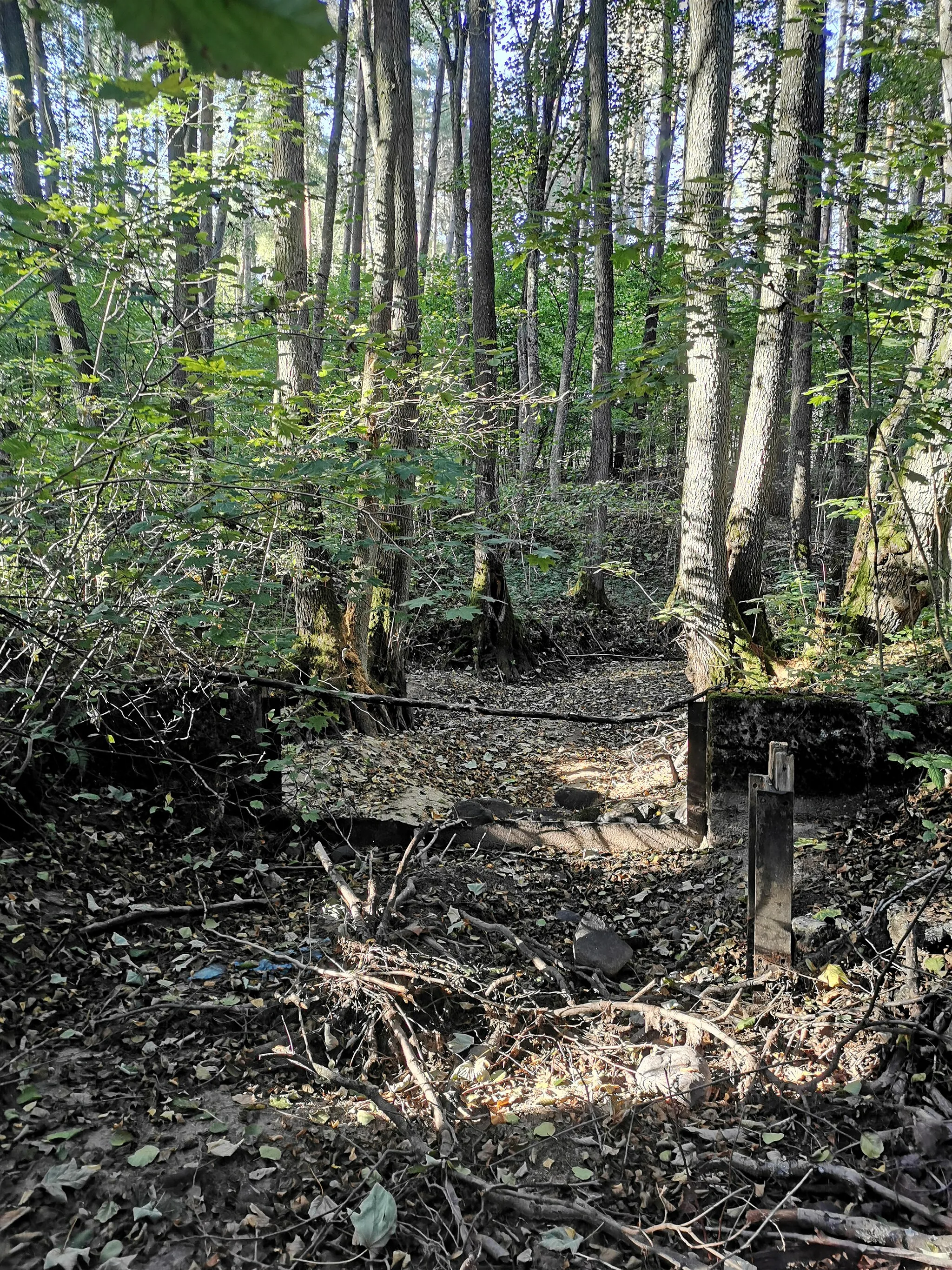 Photo showing: Wyschnięte koryto Pokrzywnej w Łubnie