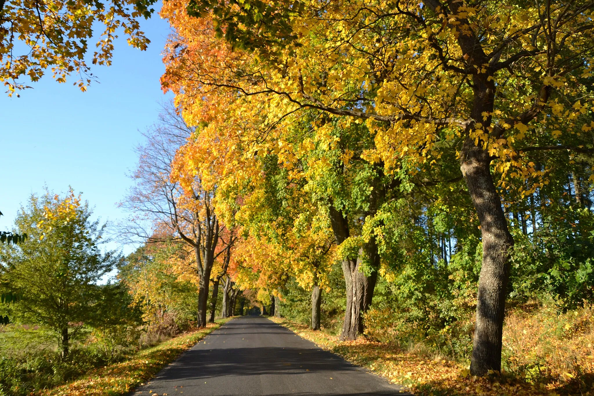 Photo showing: Pomerania, Poland: Autumn Landscape near Korzybie