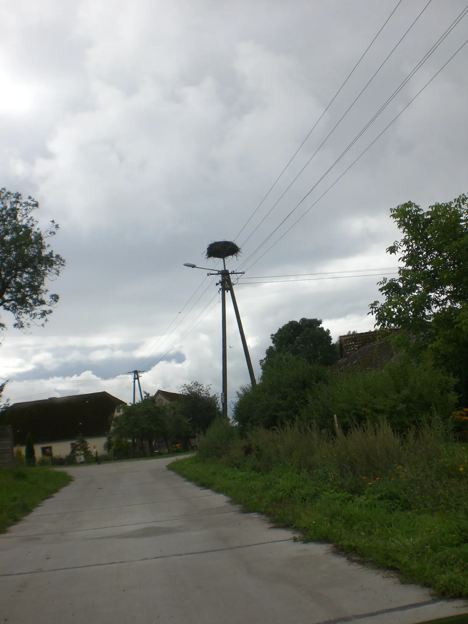 Photo showing: Komorczyn - bocianie gniazdo