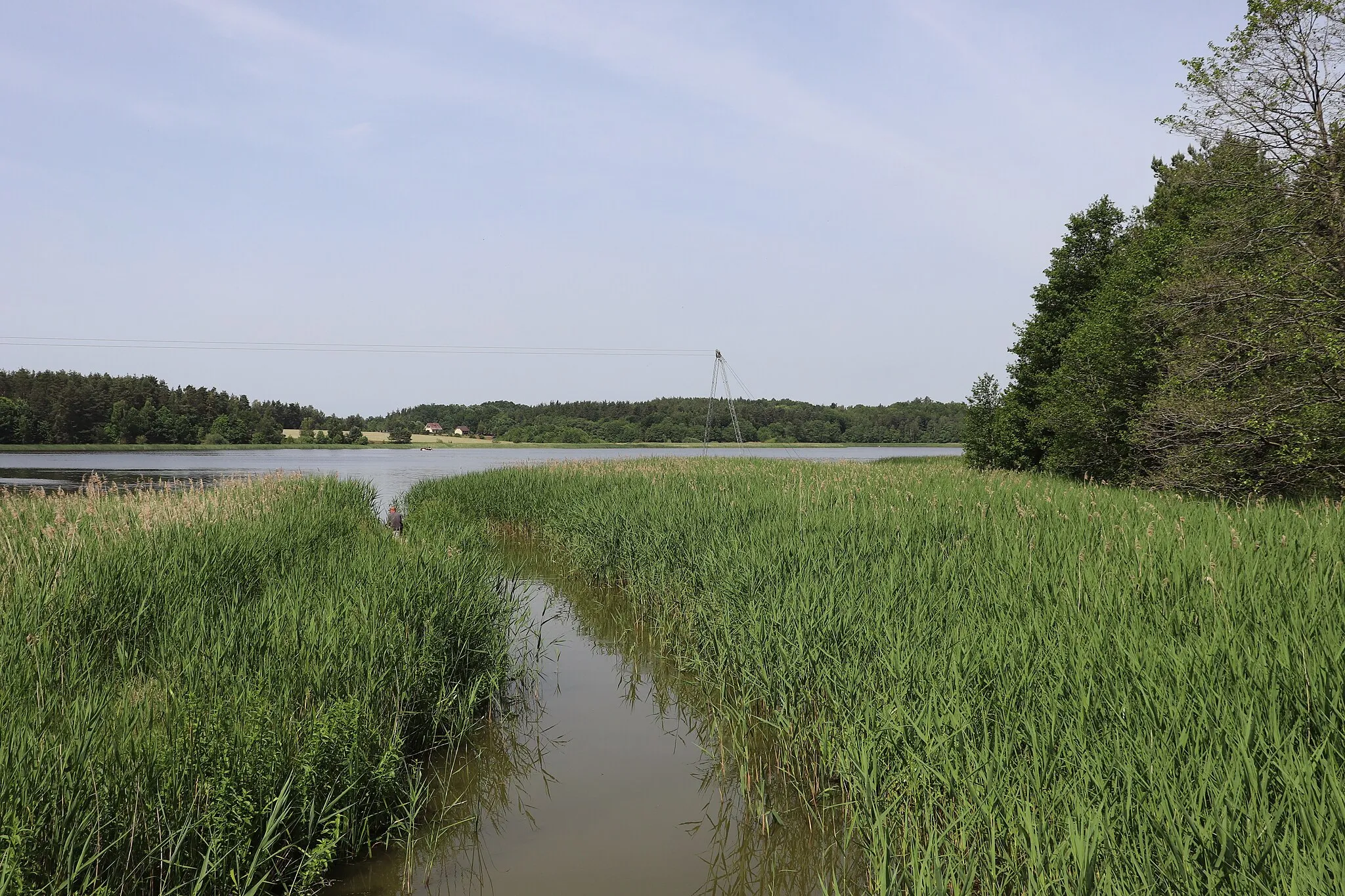 Photo showing: Załakowo - the Bukowina river