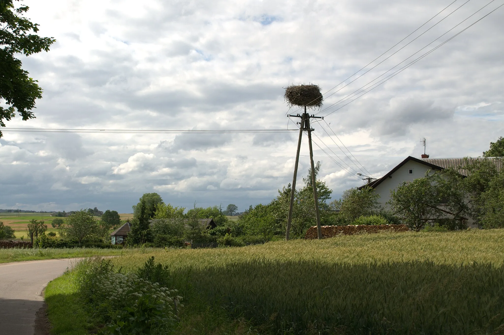 Photo showing: Stork nest in Żabno, Pomeranian Voivodeship, Poland