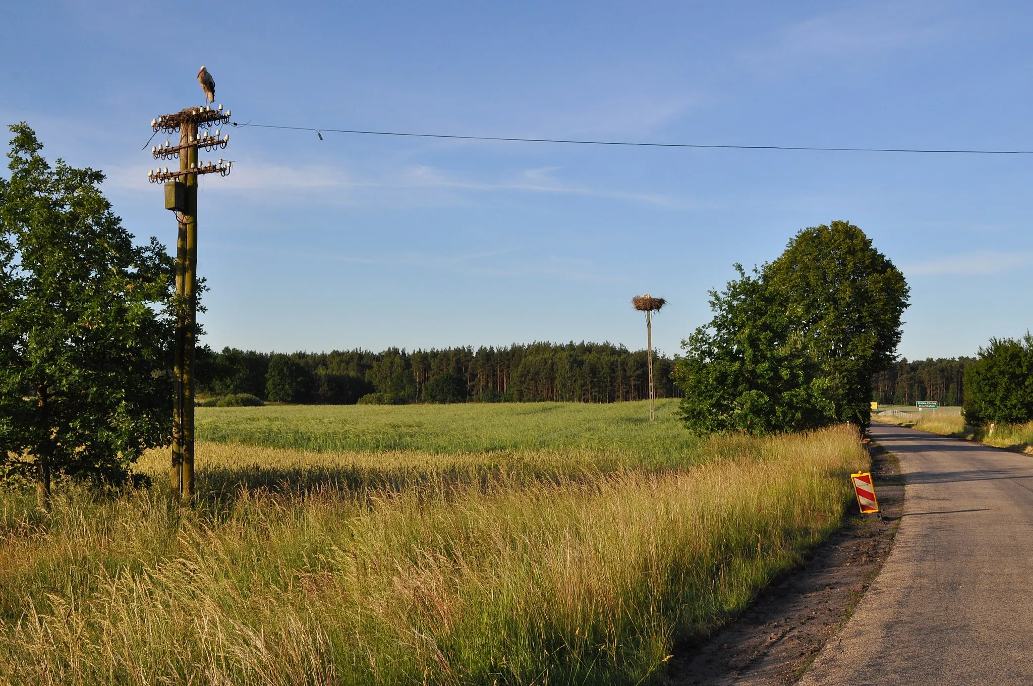 Photo showing: Stork nest in Wielkie Chełmy, Pomeranian Voivodeship, Poland